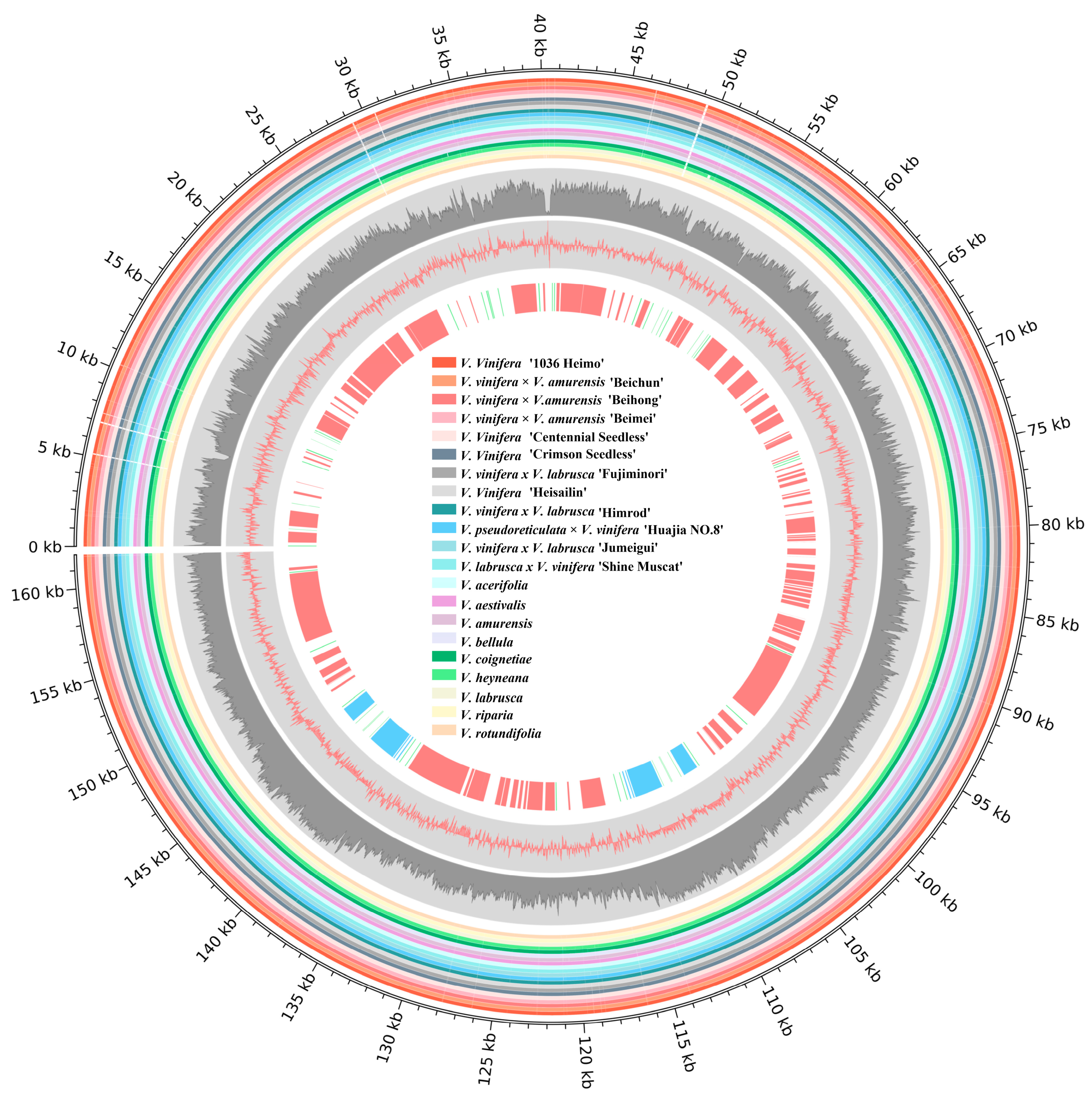 Horticulturae 10 01218 g001