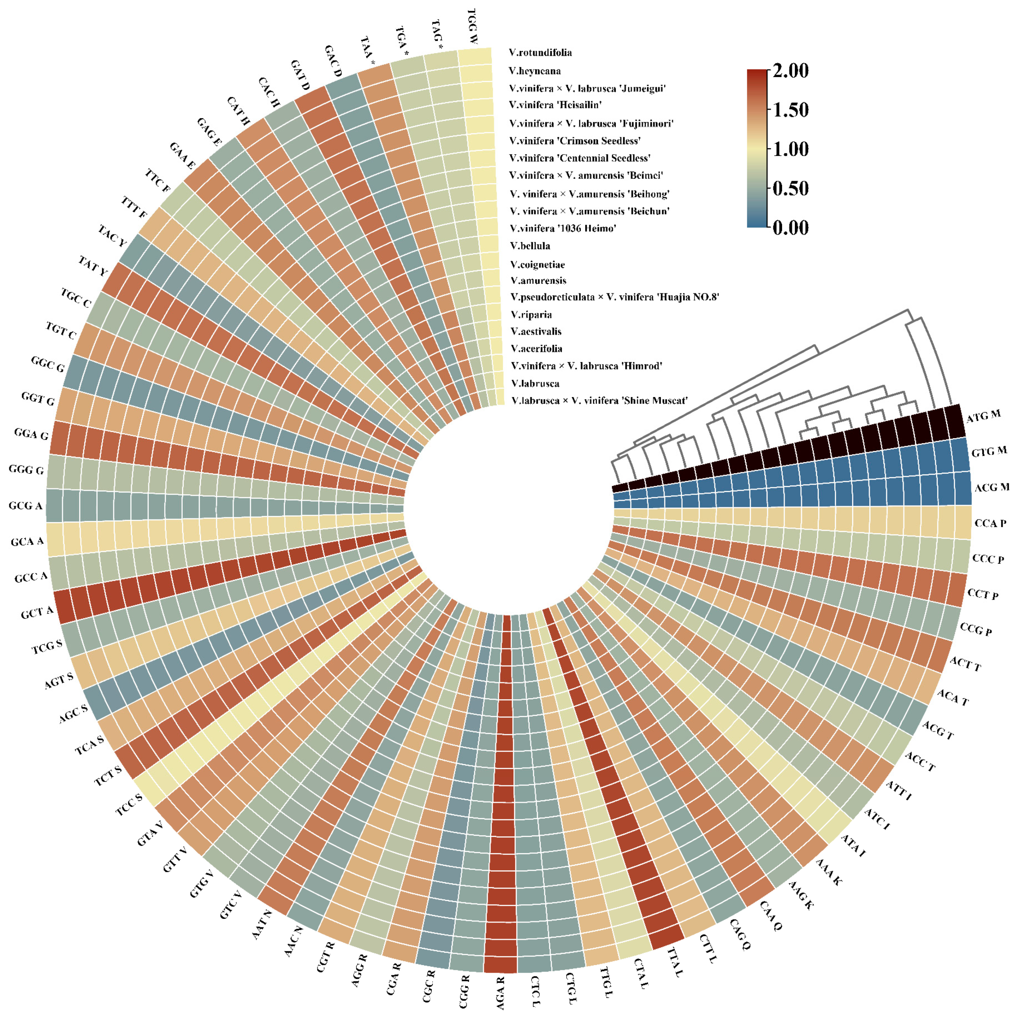 Horticulturae 10 01218 g002