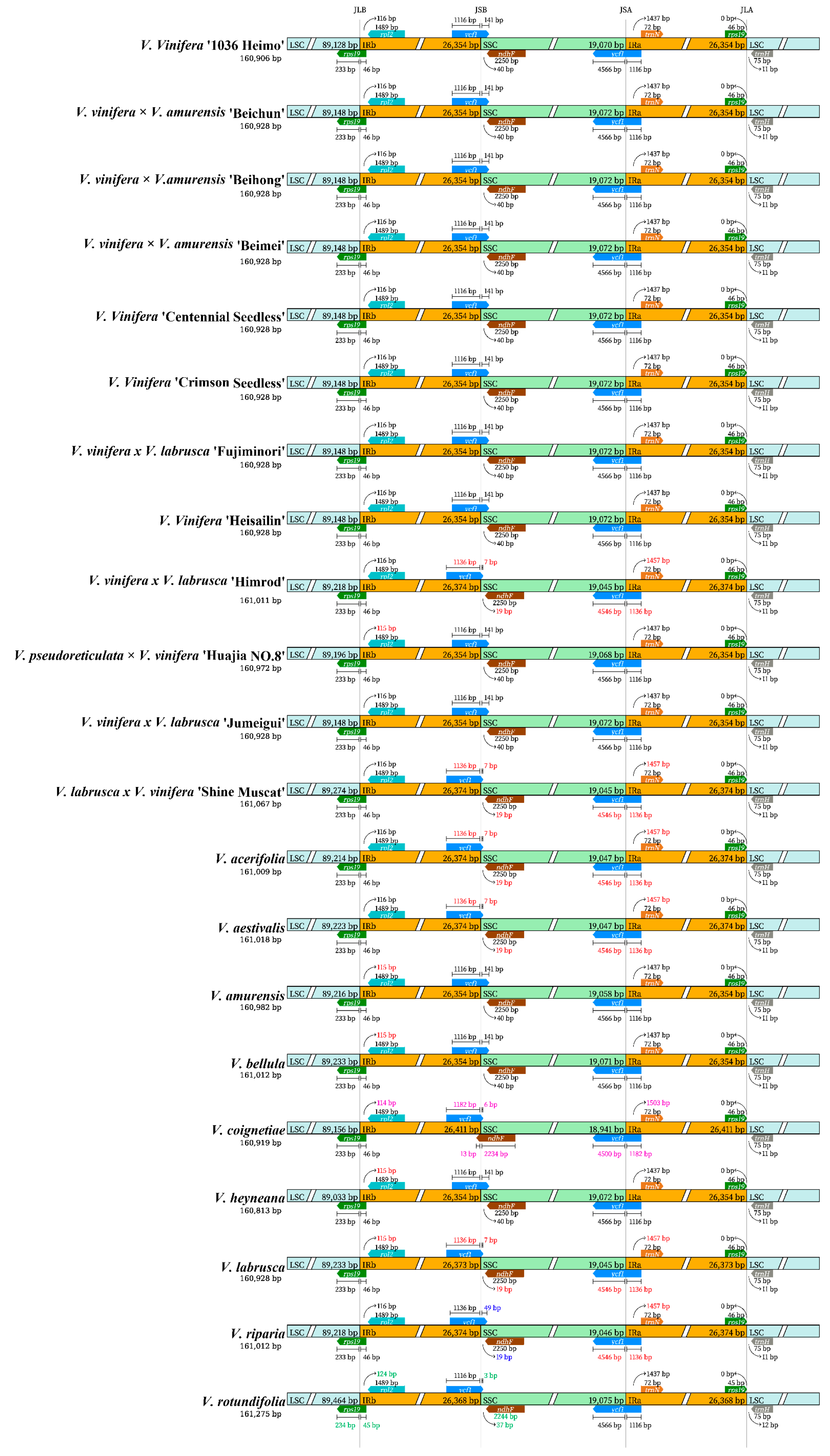 Horticulturae 10 01218 g005