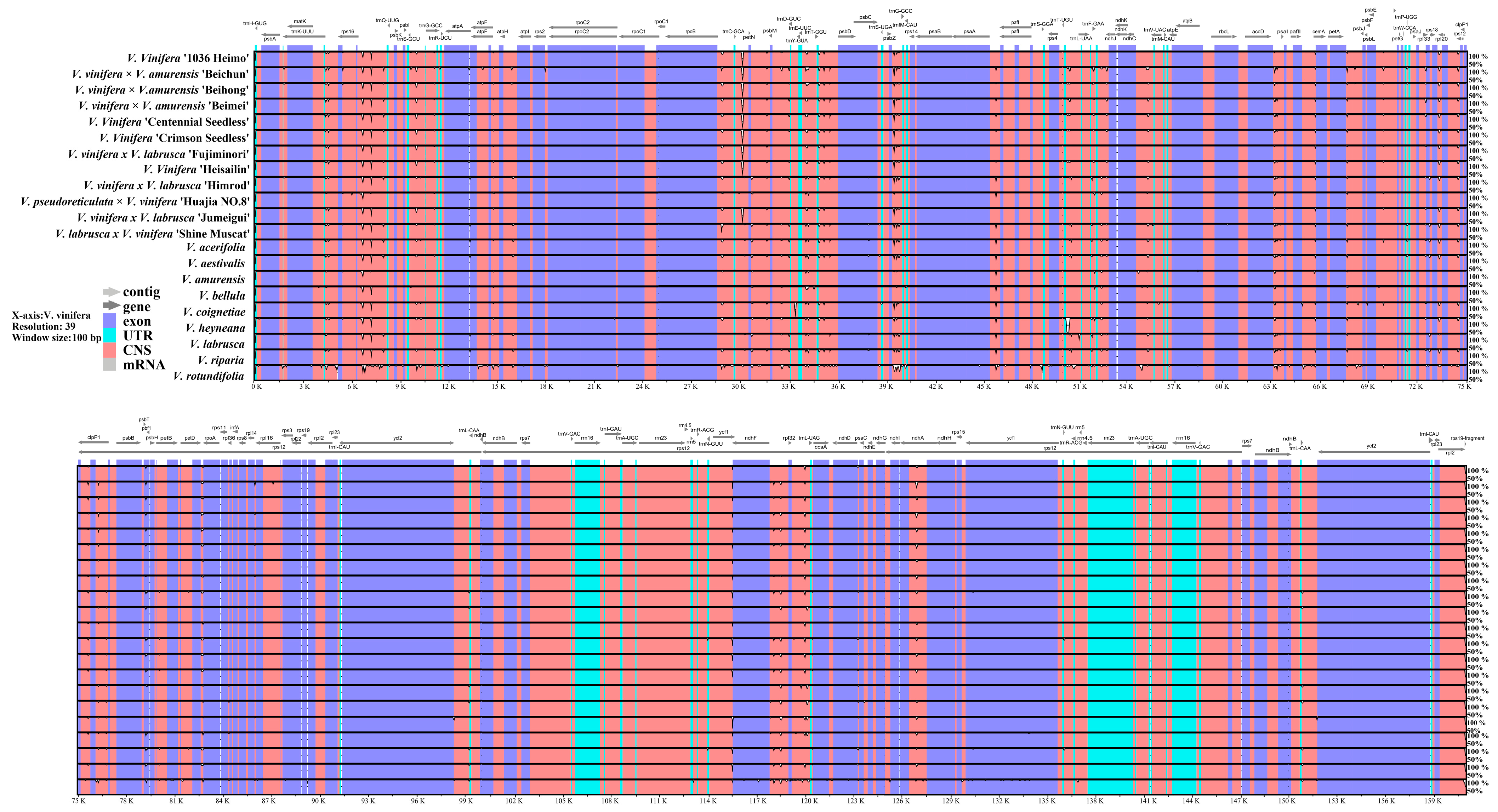 Horticulturae 10 01218 g008