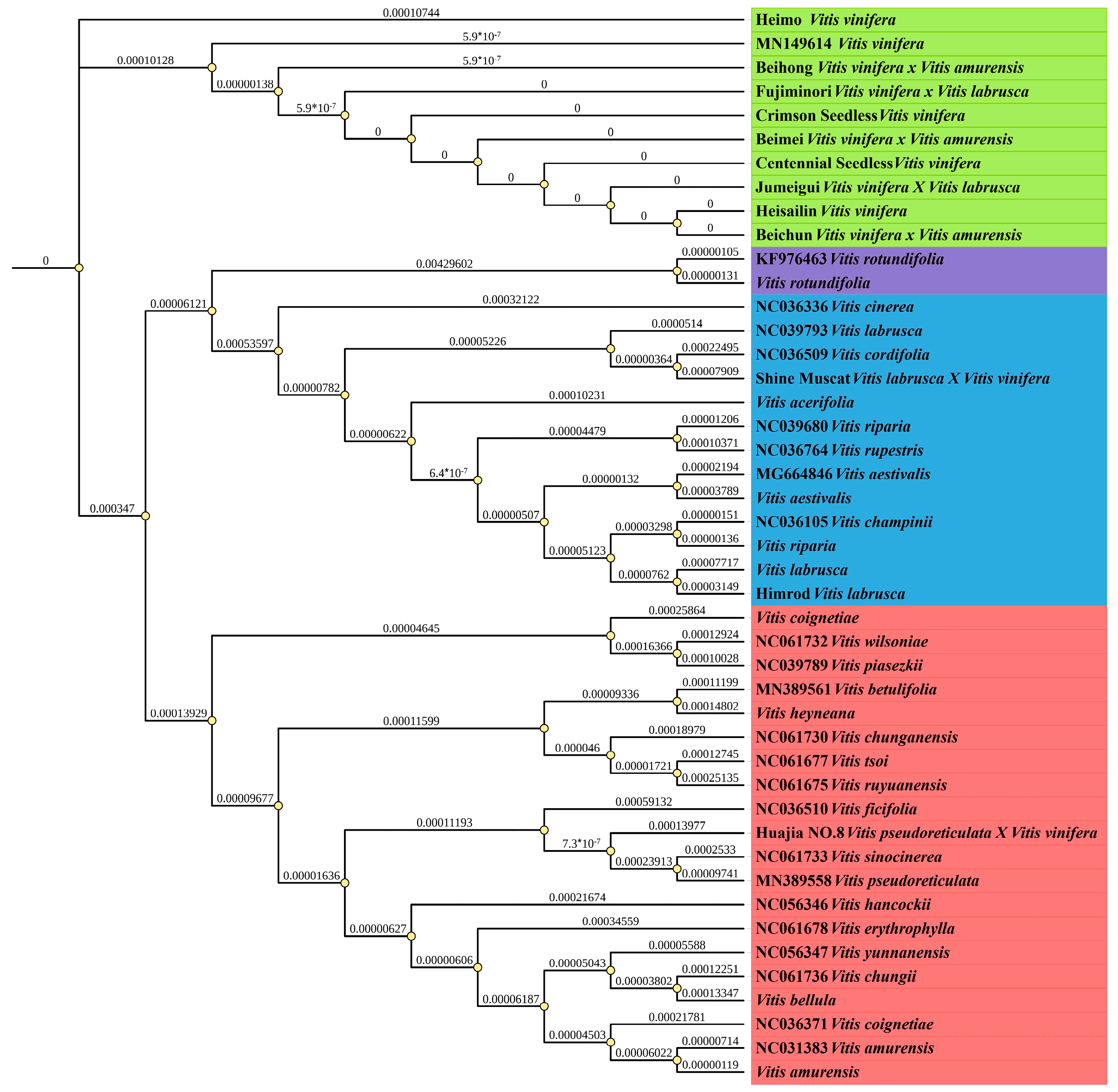 Horticulturae 10 01218 g009