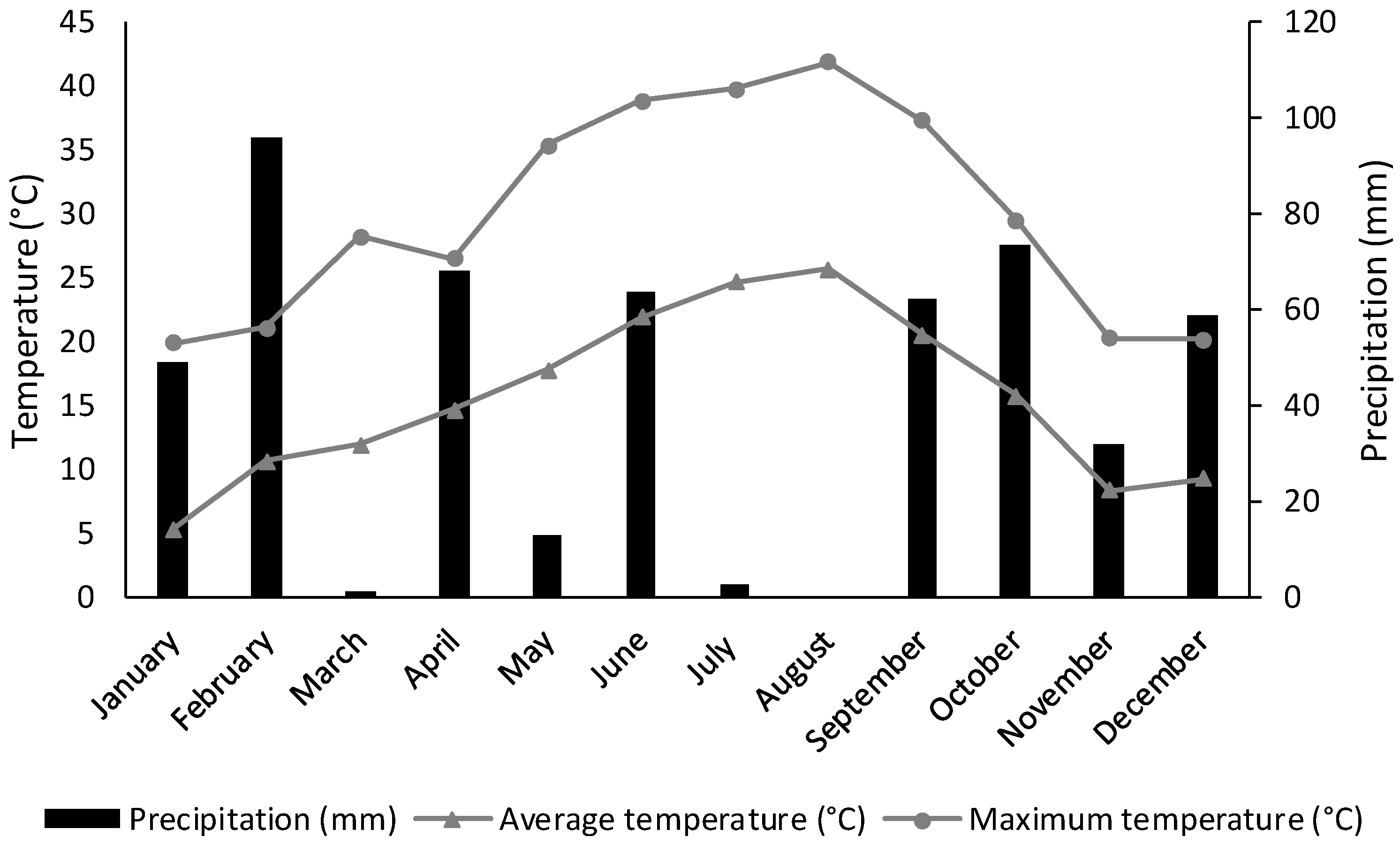 Horticulturae 10 01224 g001