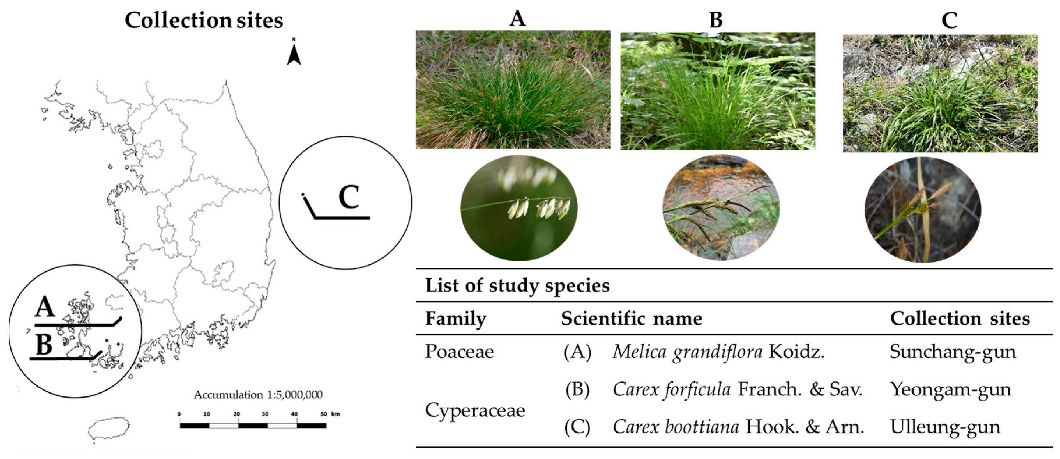 Horticulturae 10 01225 g001