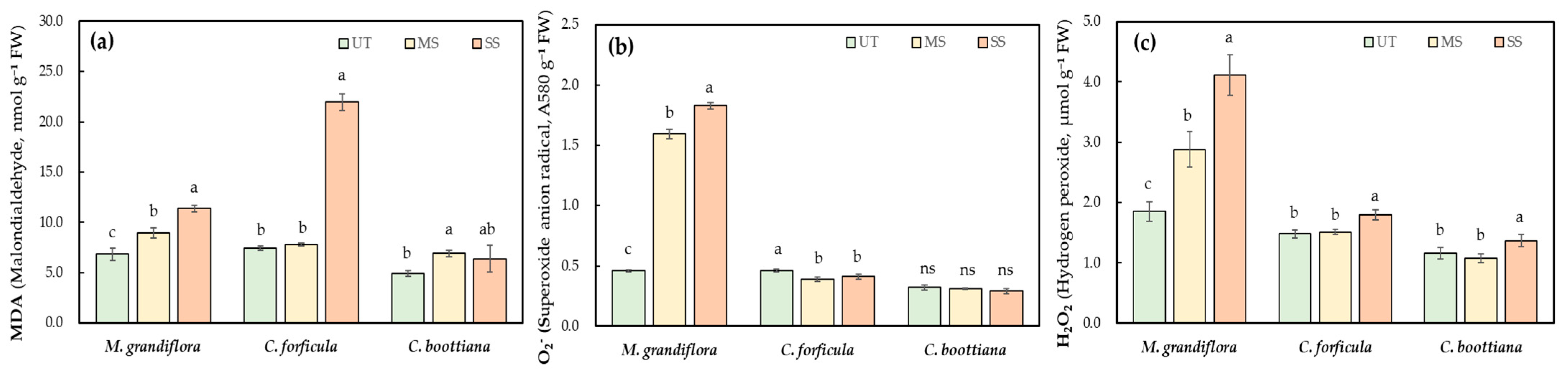 Horticulturae 10 01225 g006