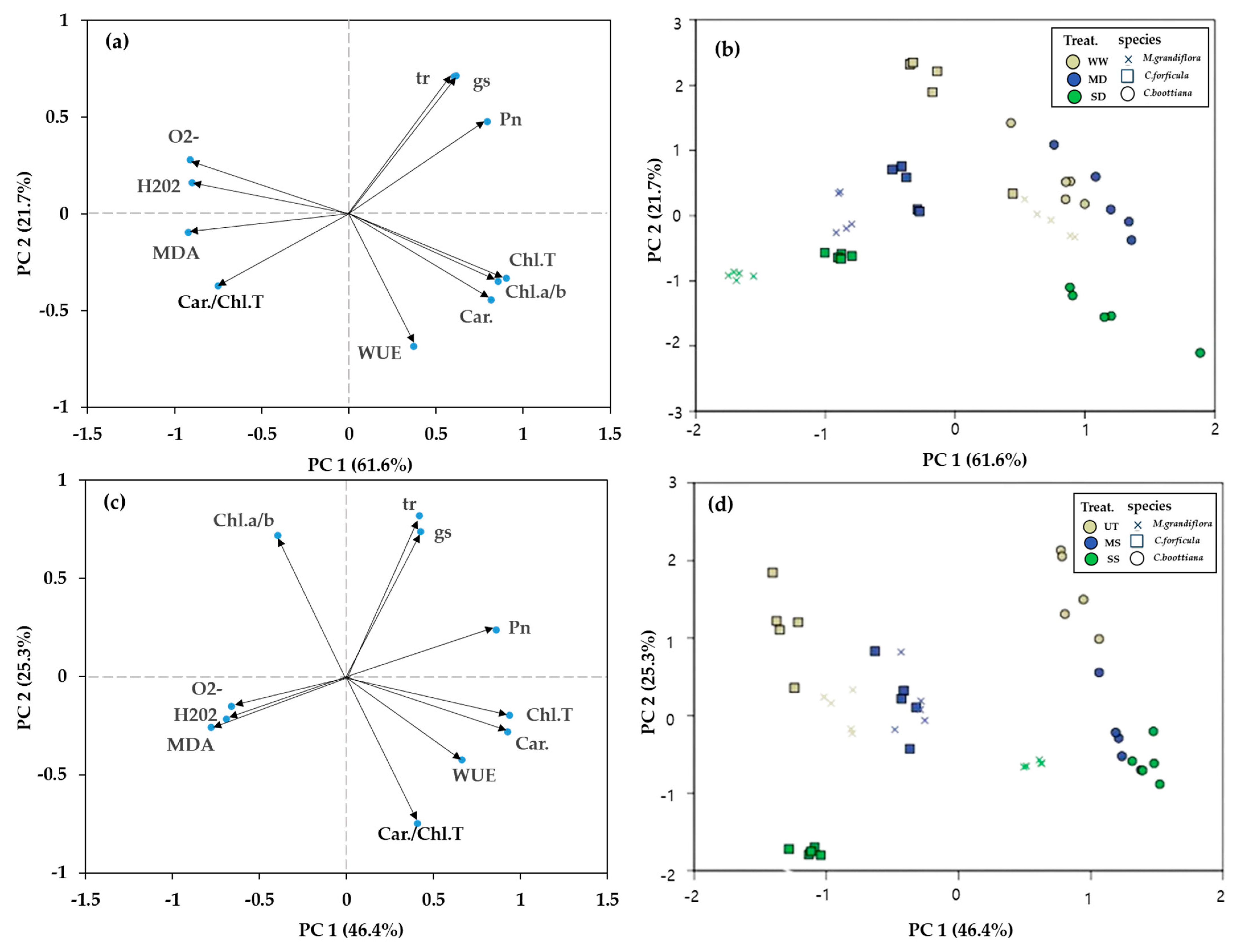 Horticulturae 10 01225 g007