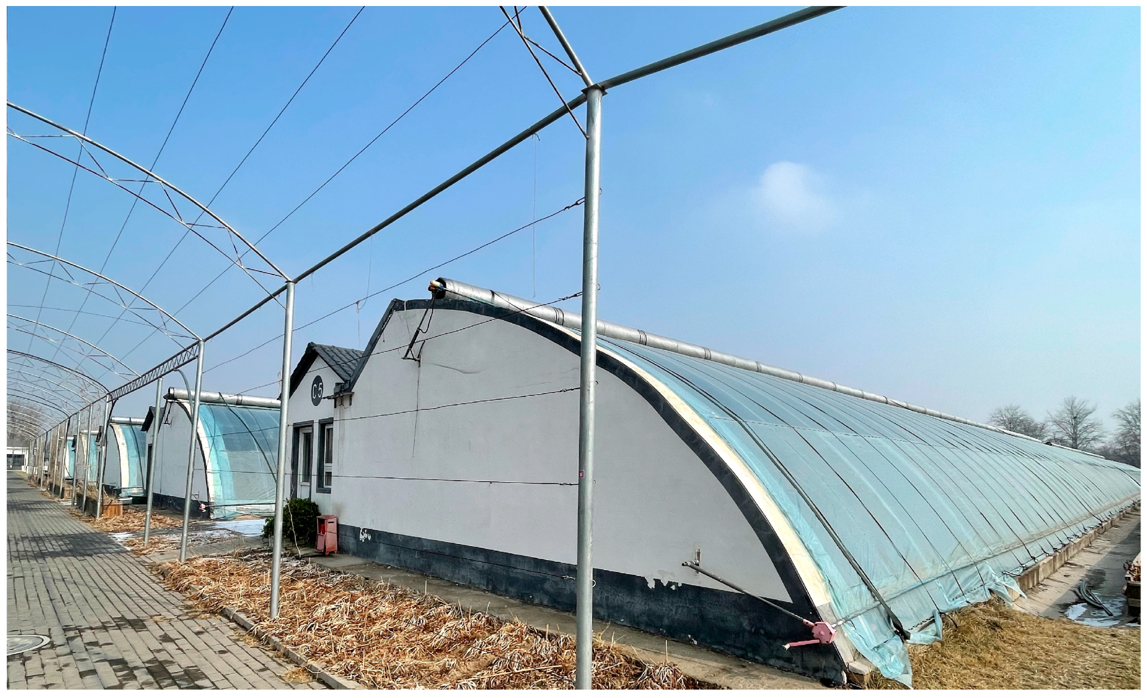 Horticulturae 10 01226 g001