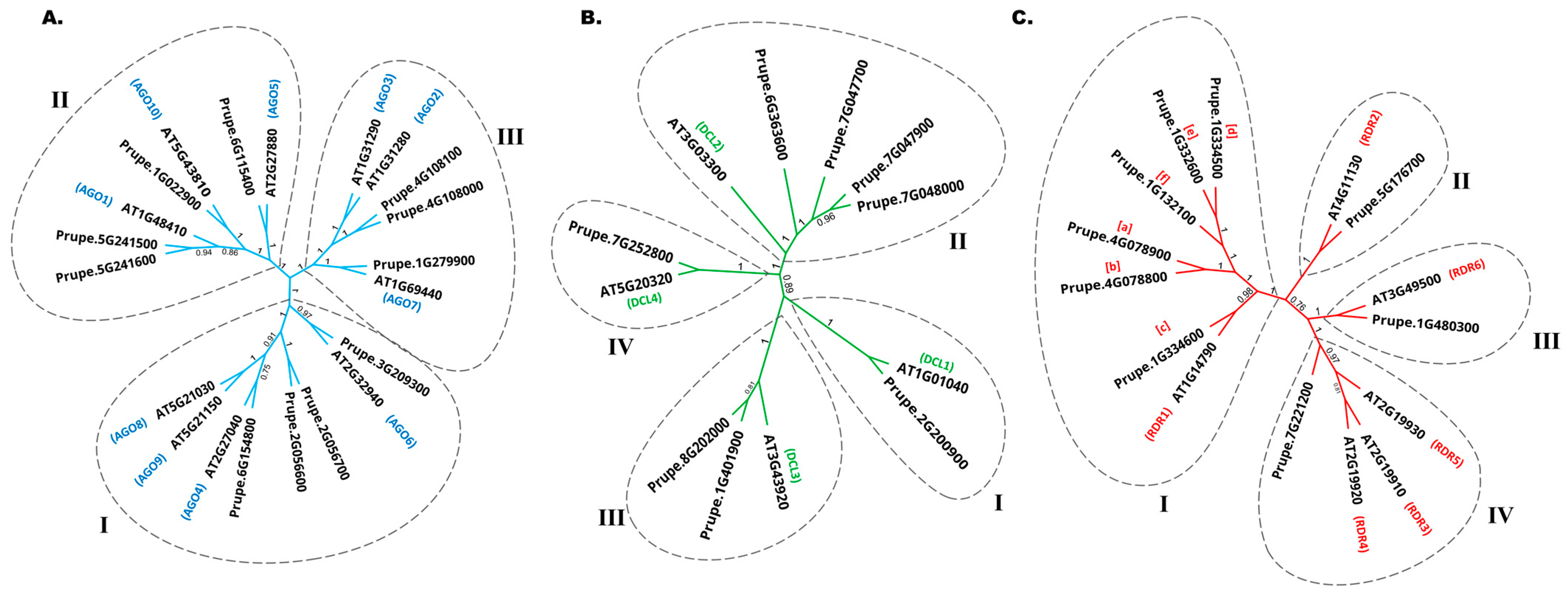 Horticulturae 10 01228 g001 Horticulturae 10 01228 g001