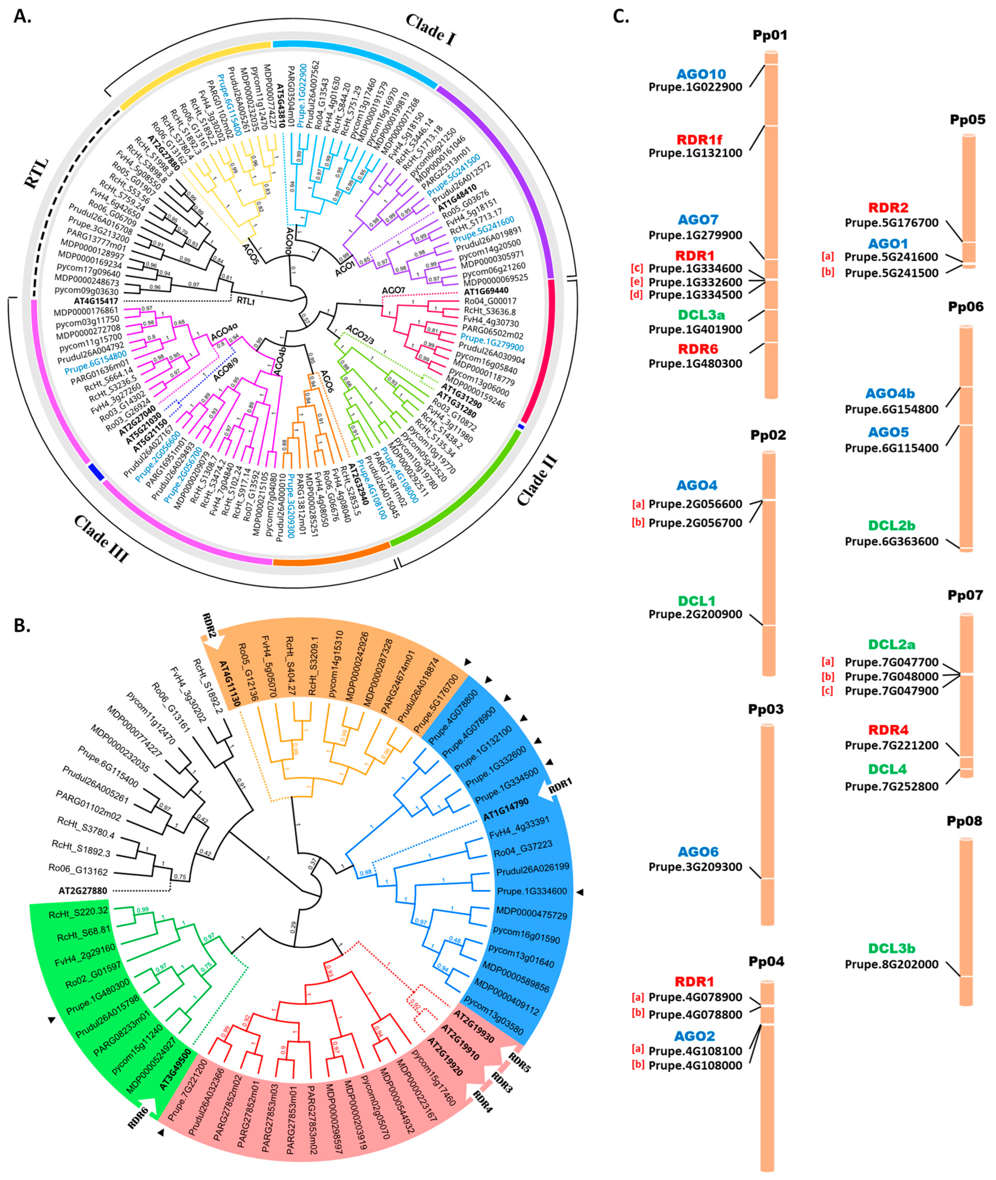 Horticulturae 10 01228 g002 Horticulturae 10 01228 g002