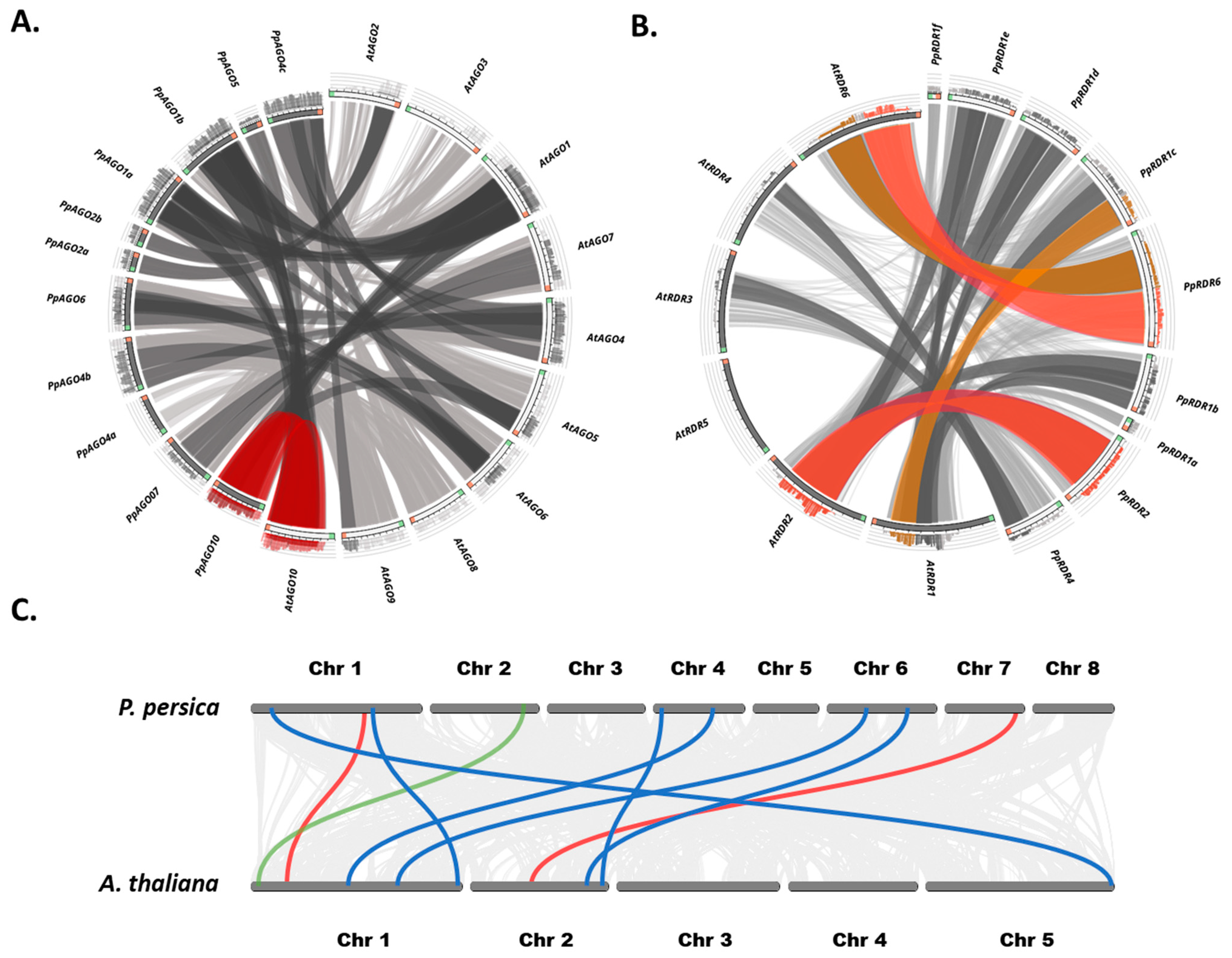 Horticulturae 10 01228 g005 Horticulturae 10 01228 g005