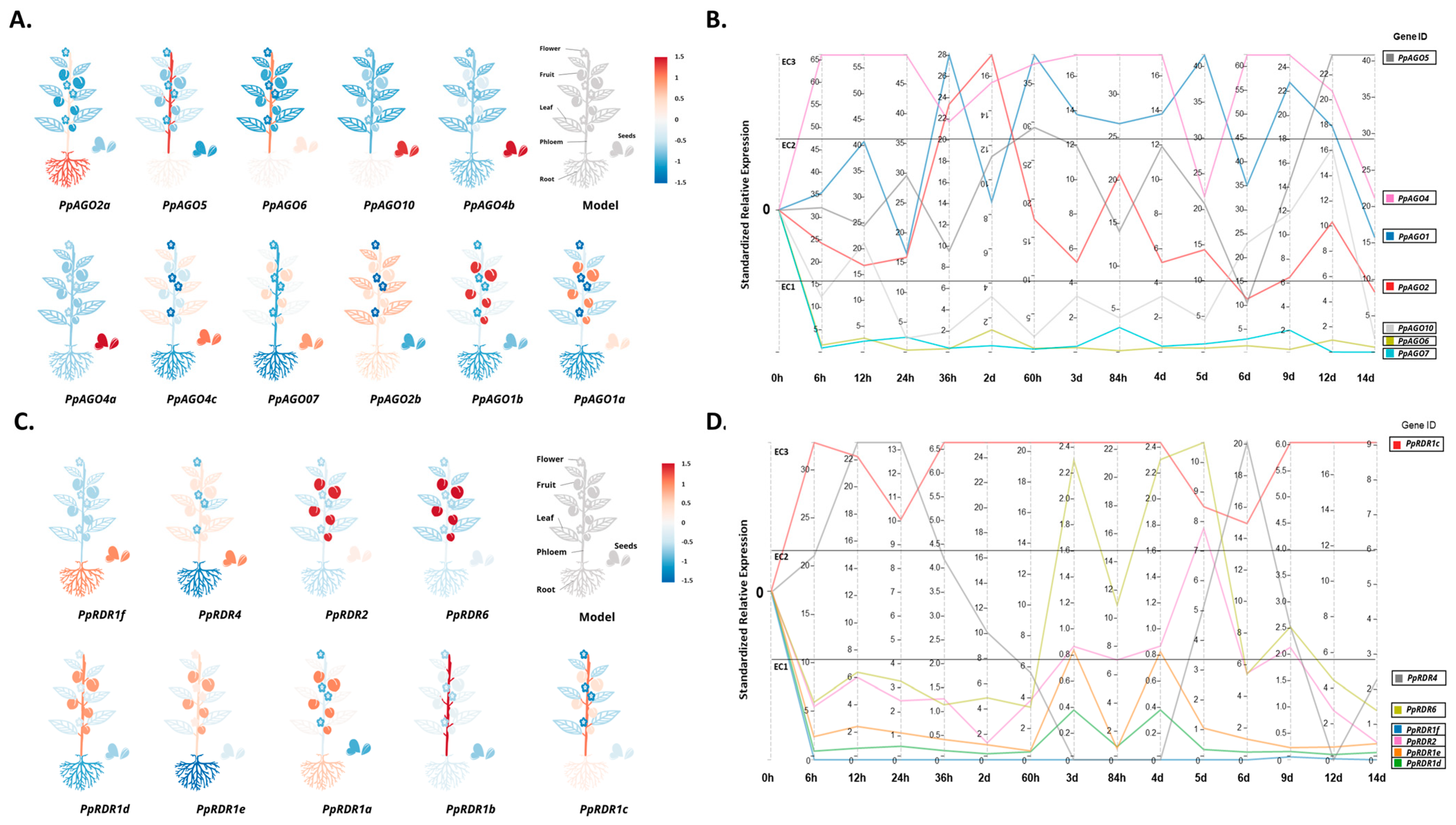 Horticulturae 10 01228 g006 Horticulturae 10 01228 g006
