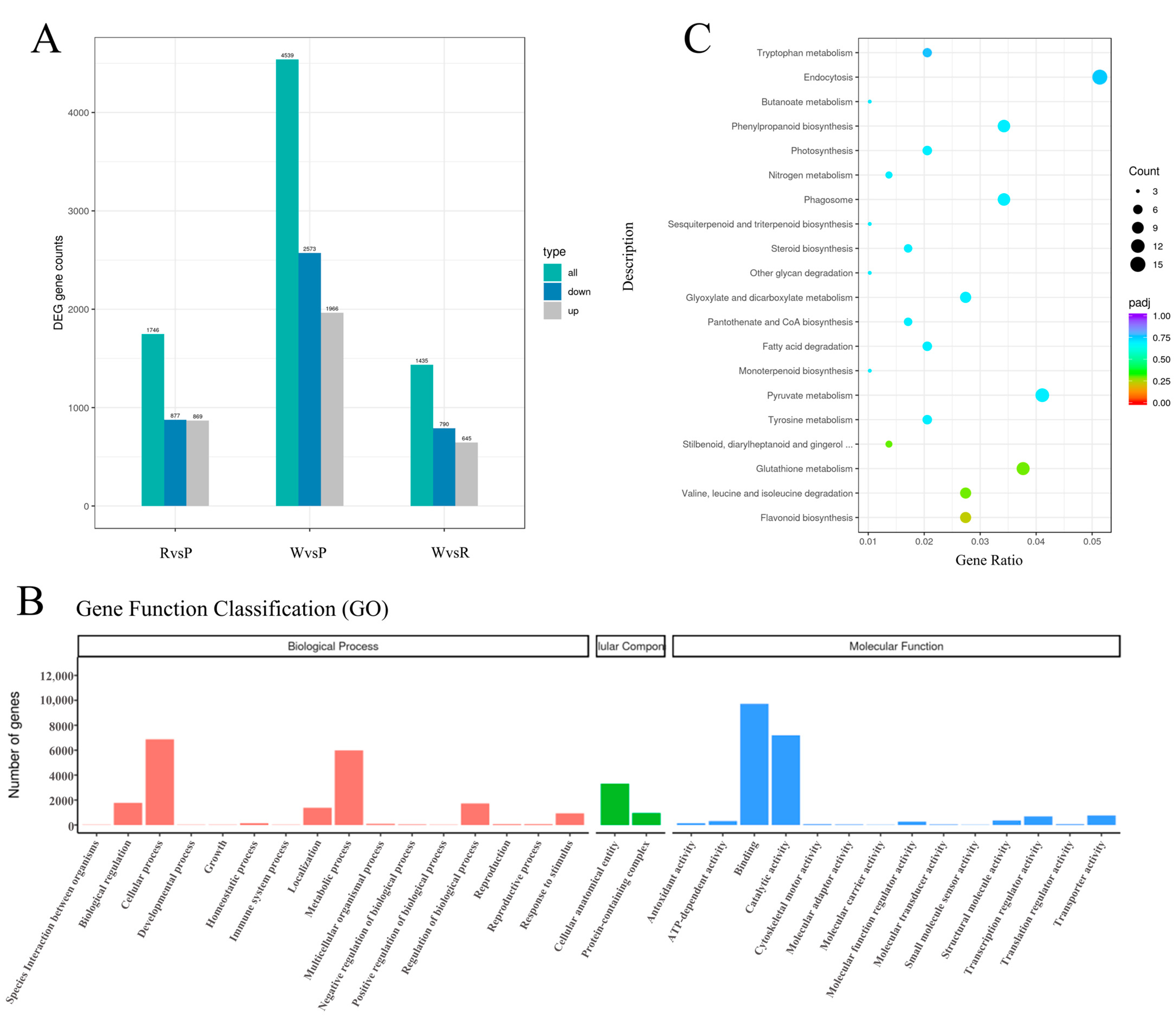 Horticulturae 10 01229 g003
