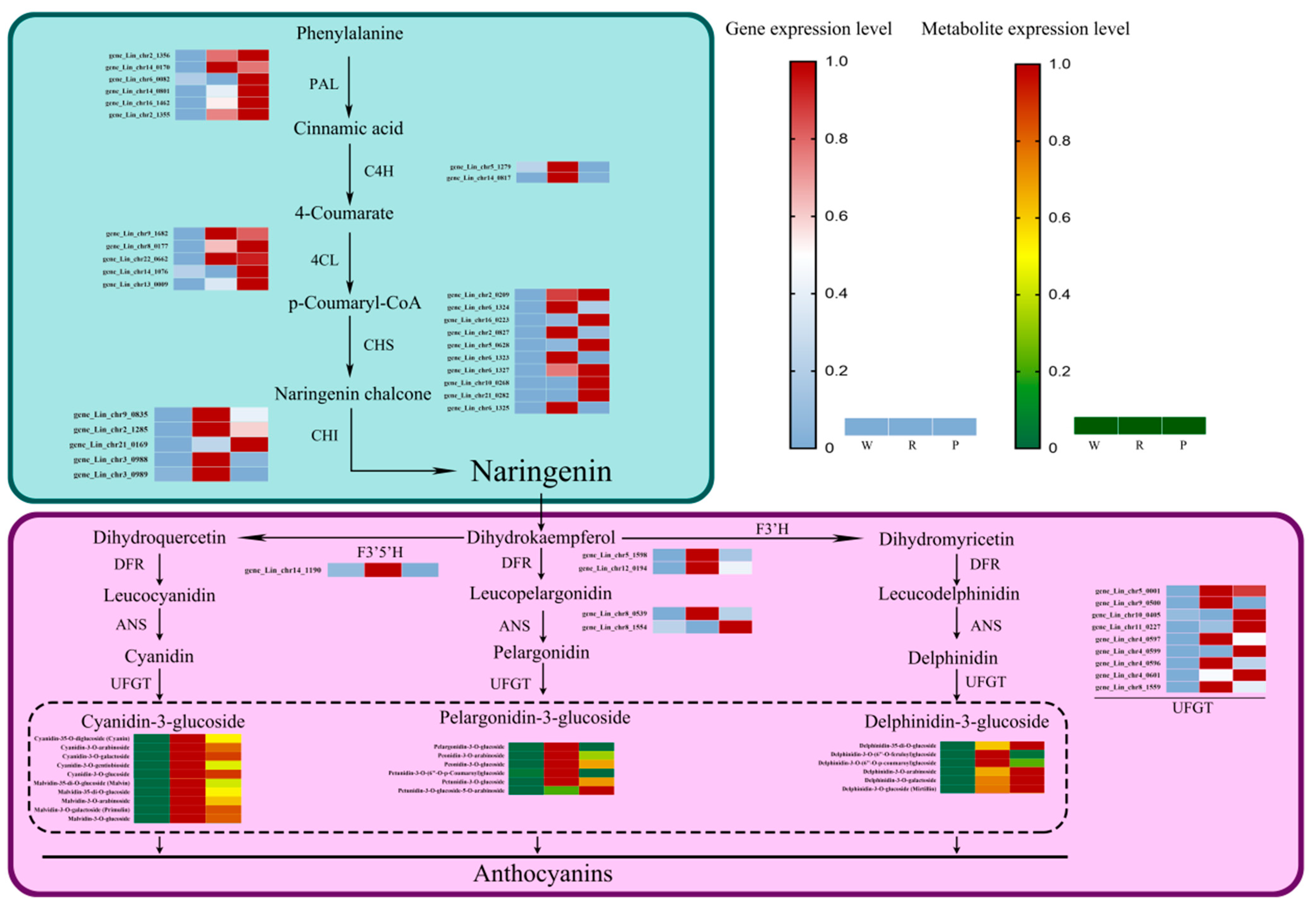 Horticulturae 10 01229 g005