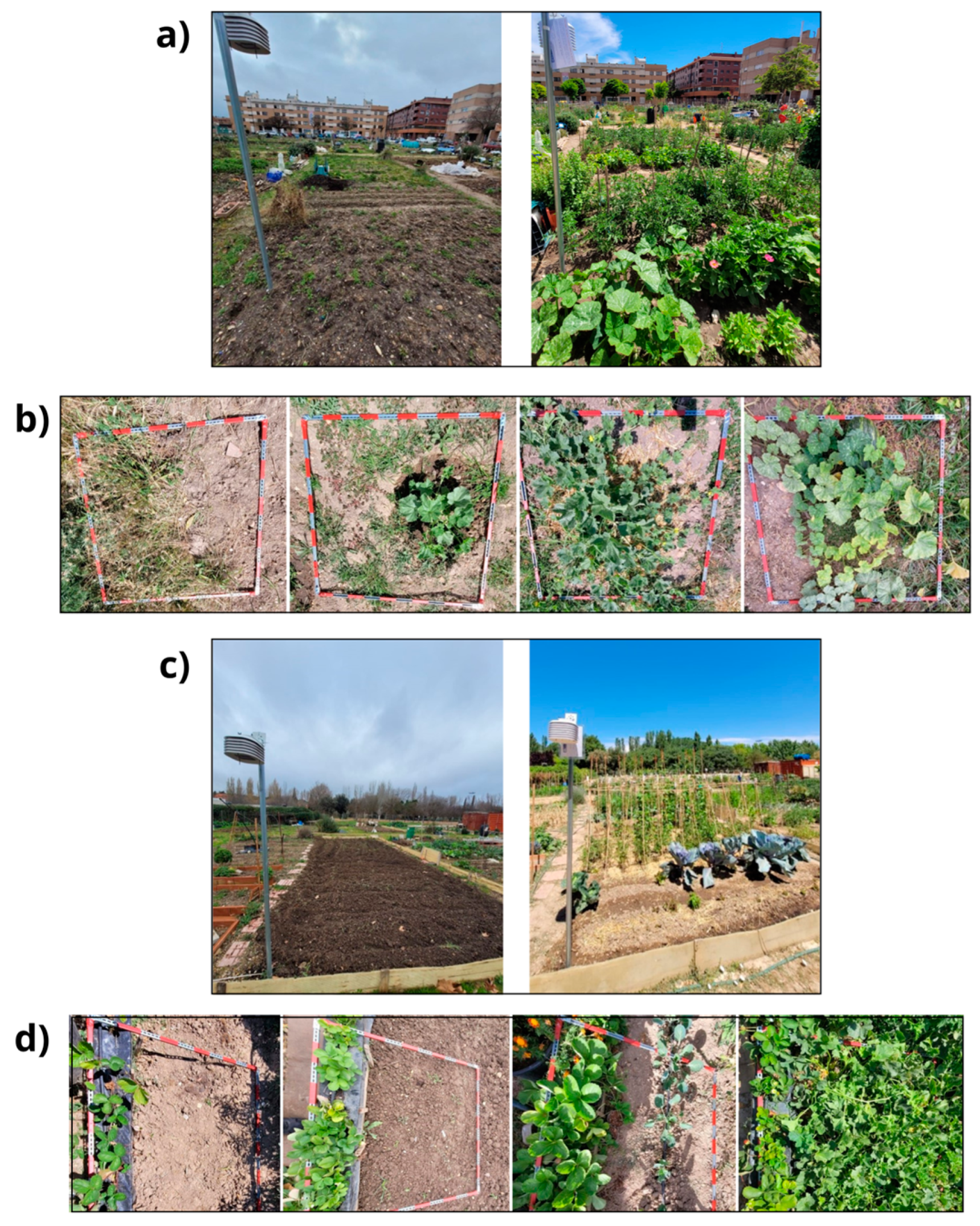 Horticulturae 10 01232 g002