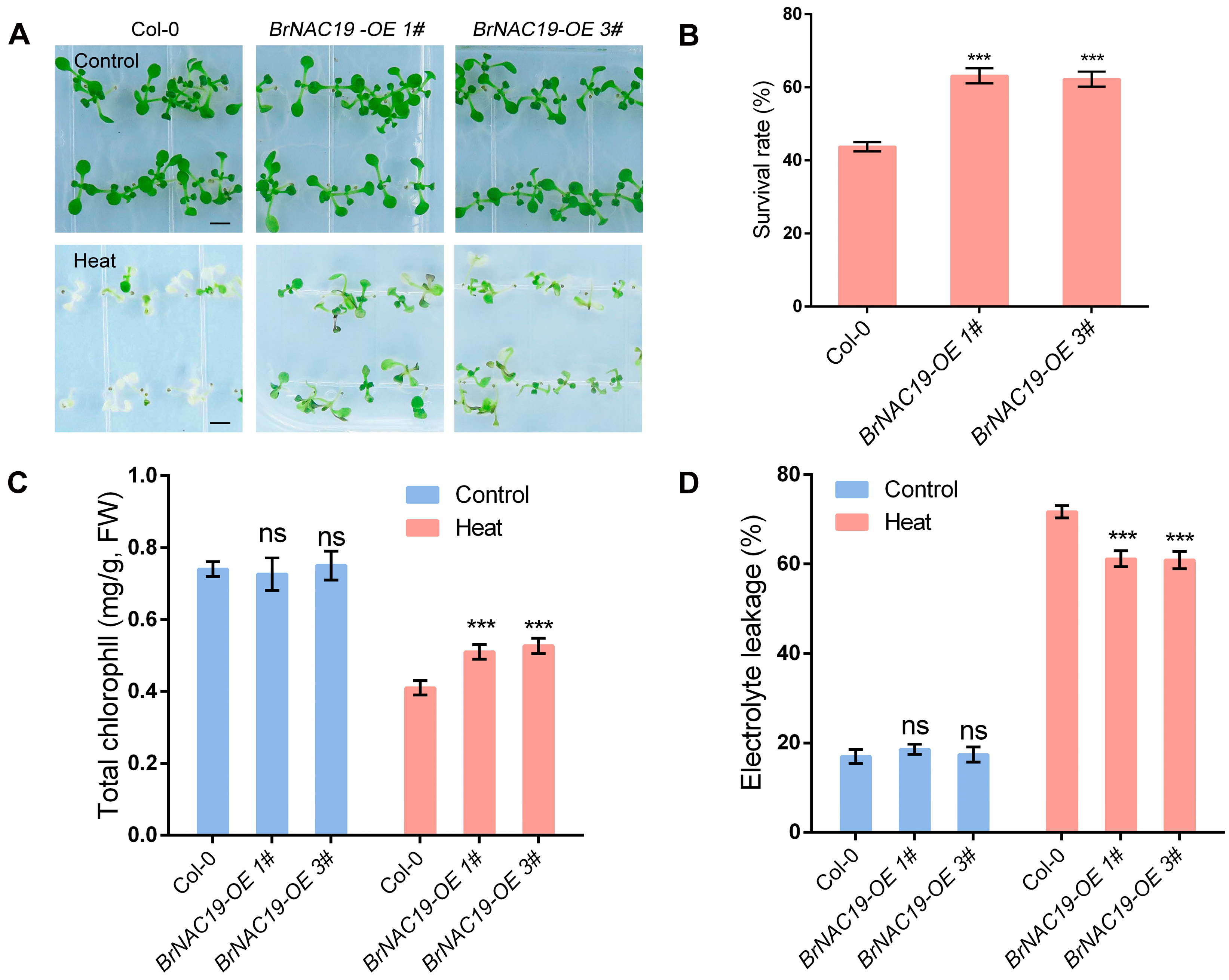 Horticulturae 10 01236 g002