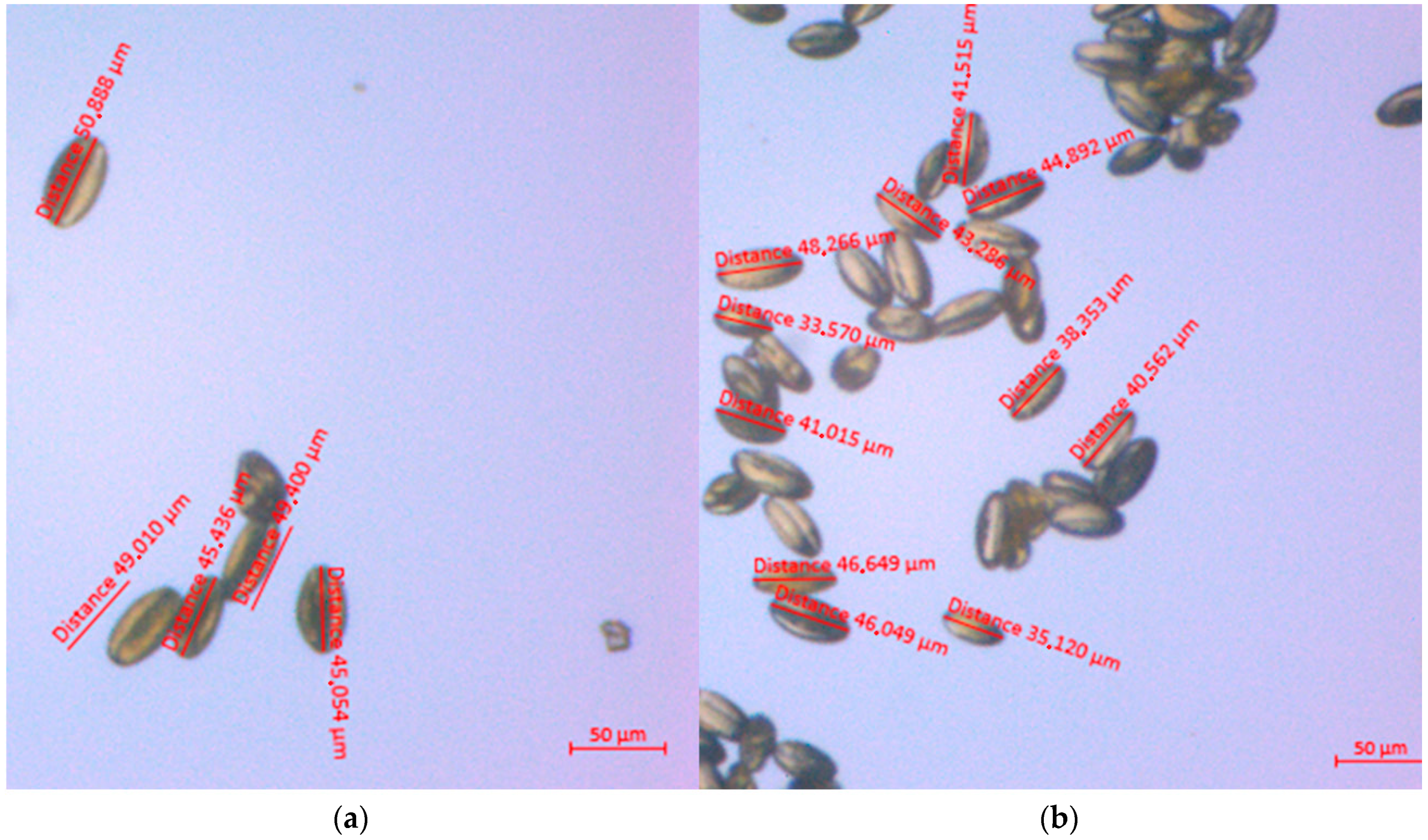 Horticulturae 10 01241 g008