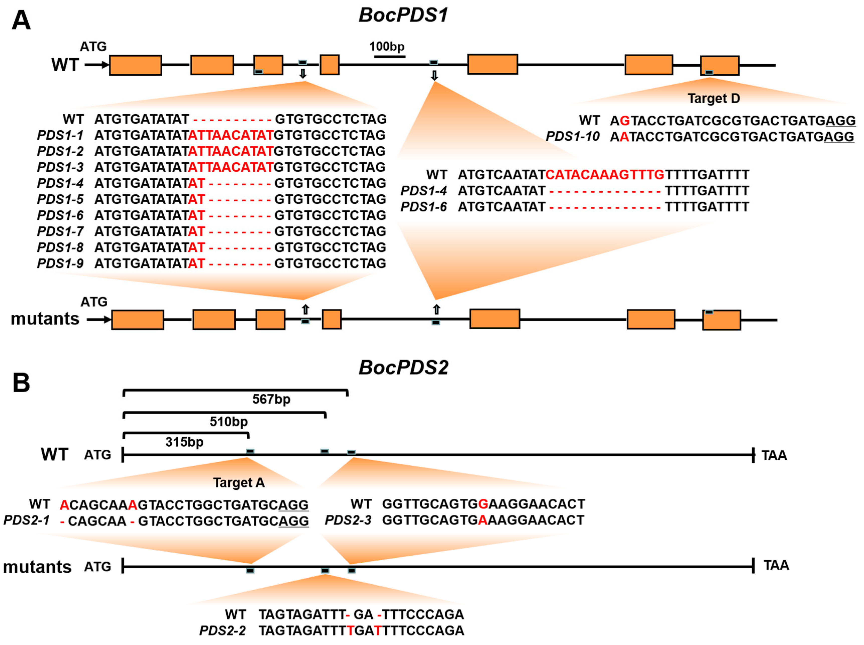 Horticulturae 10 01244 g004