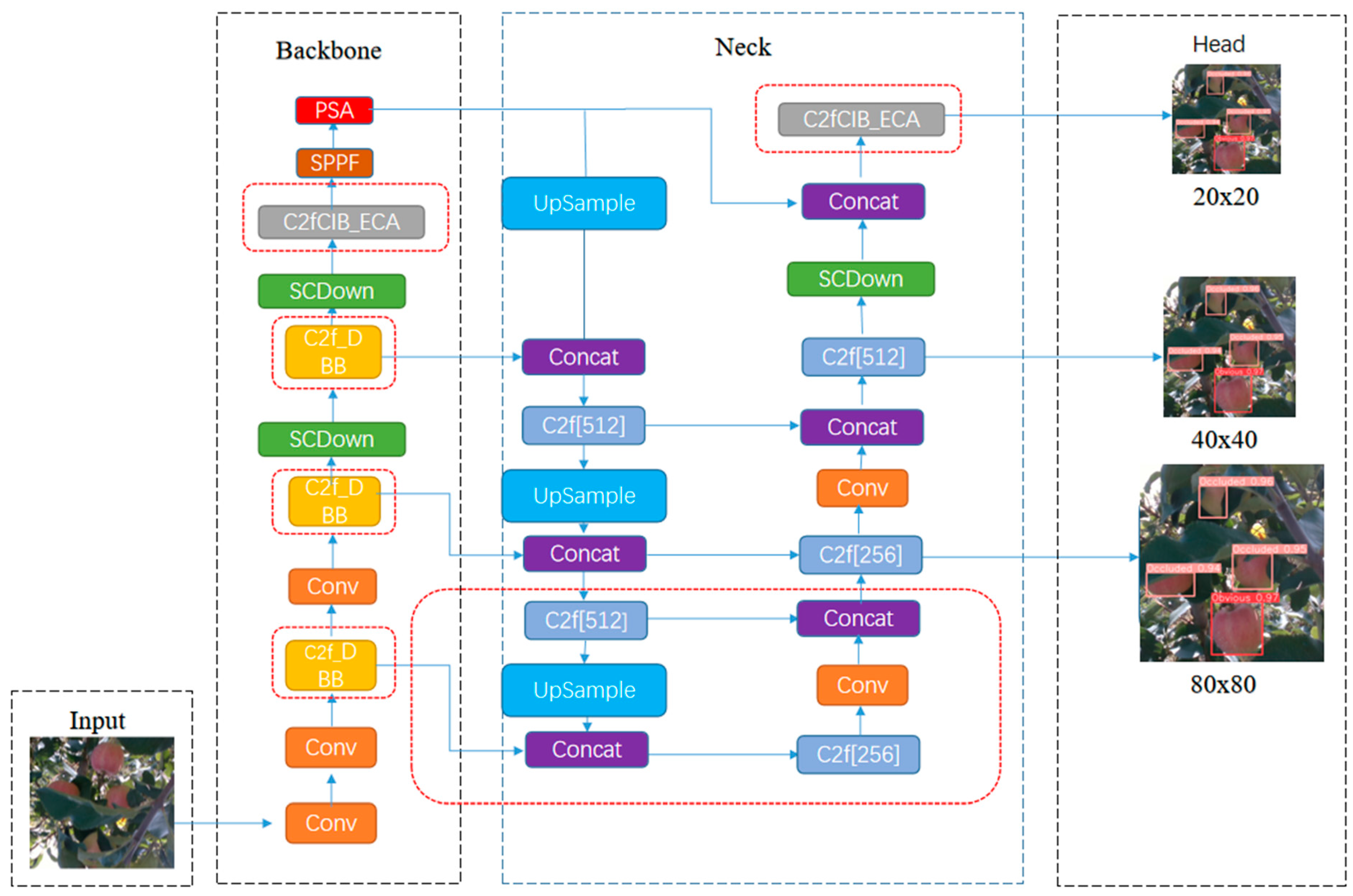 Horticulturae 10 01246 g006