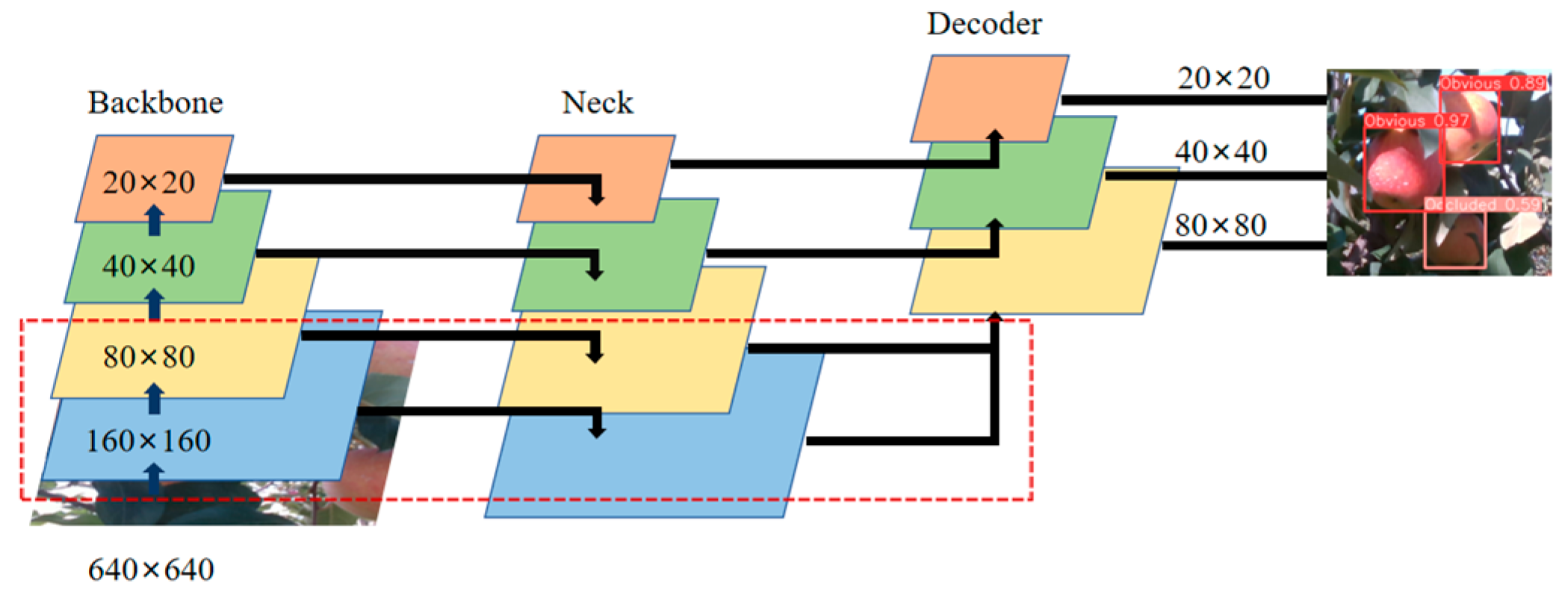 Horticulturae 10 01246 g007