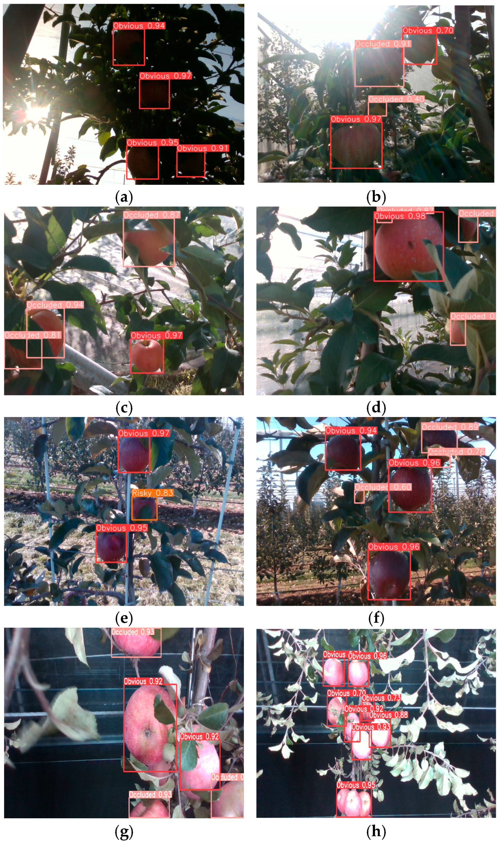 Horticulturae 10 01246 g012