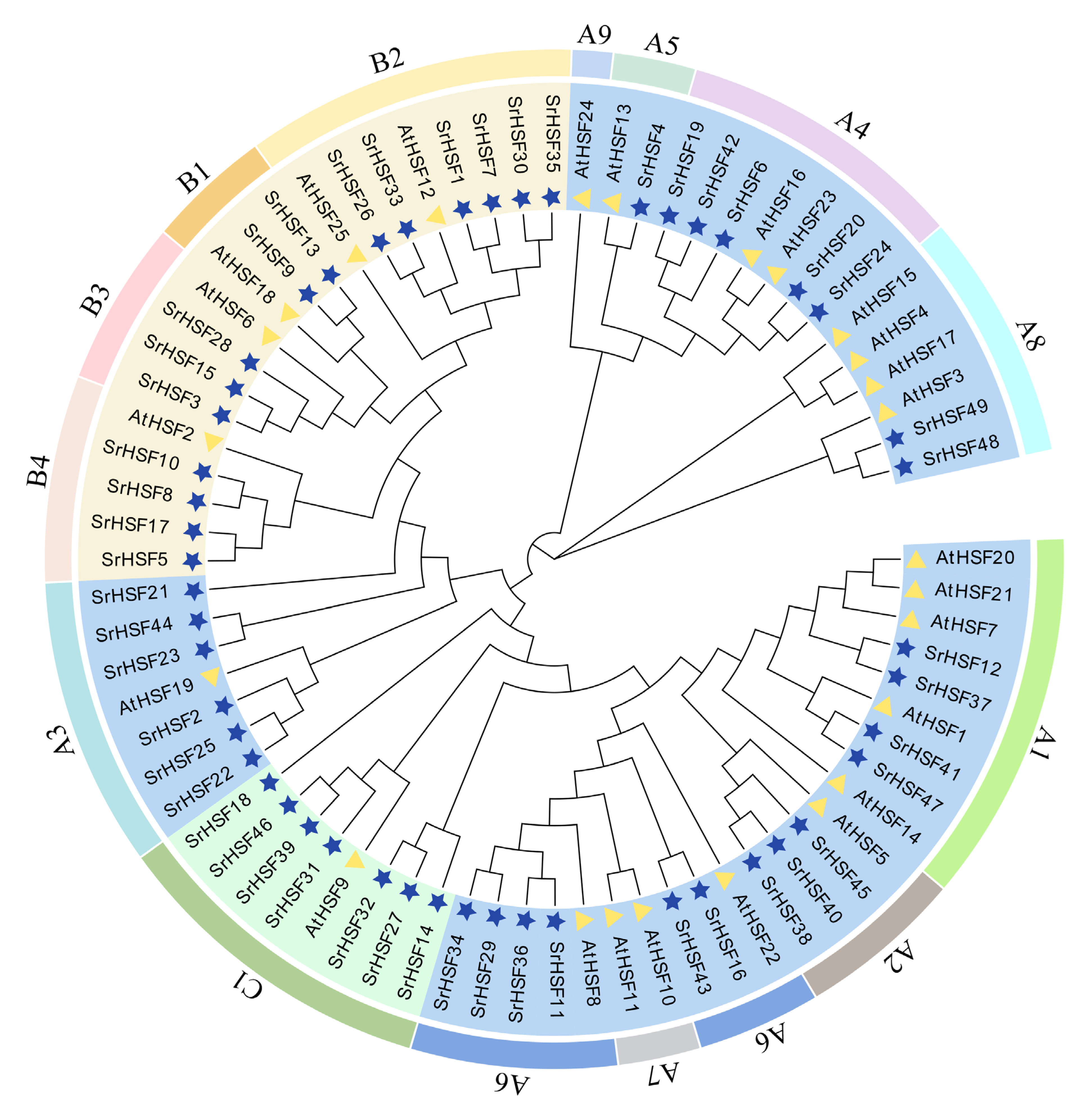 Horticulturae 10 01250 g002