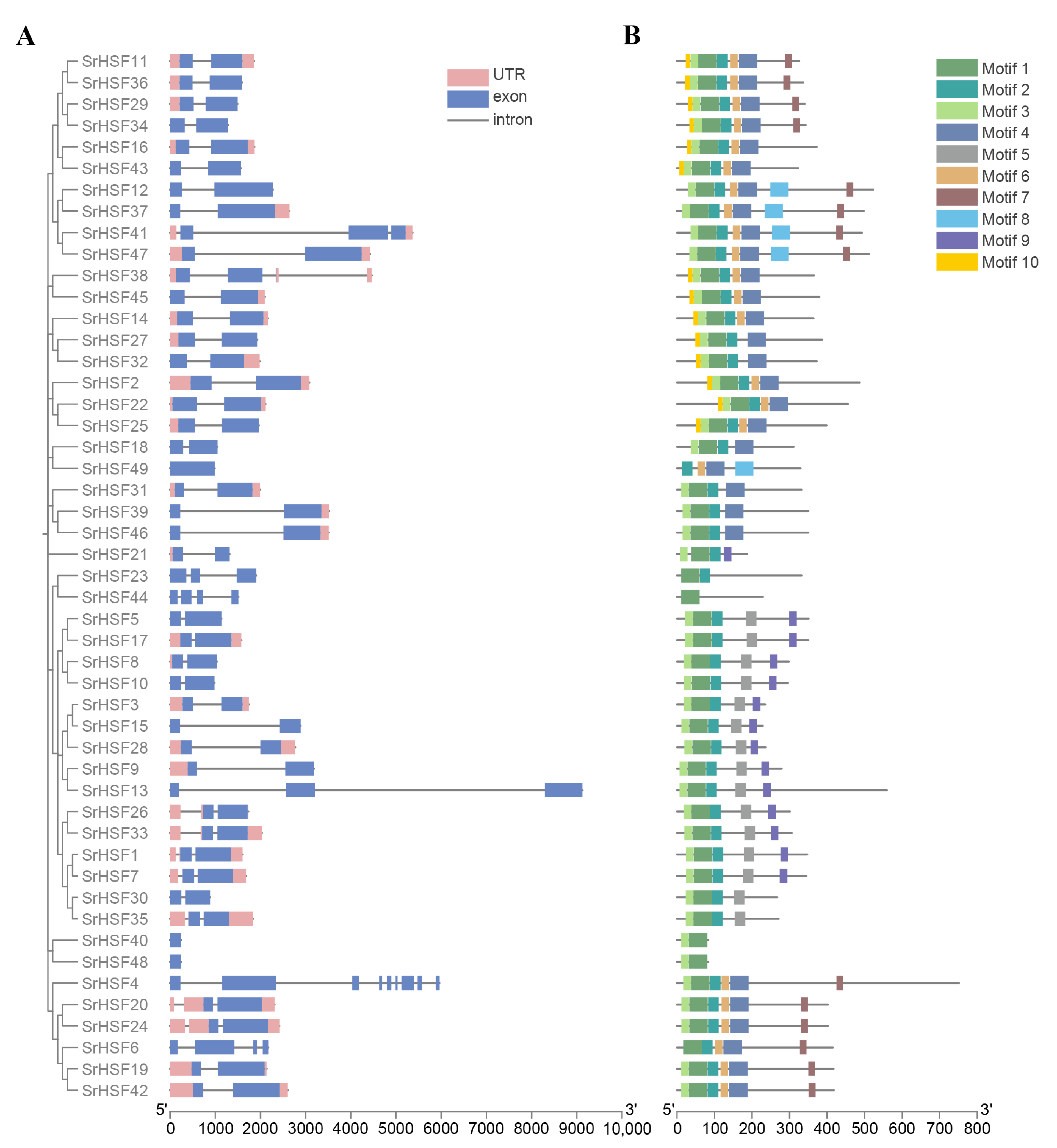 Horticulturae 10 01250 g003