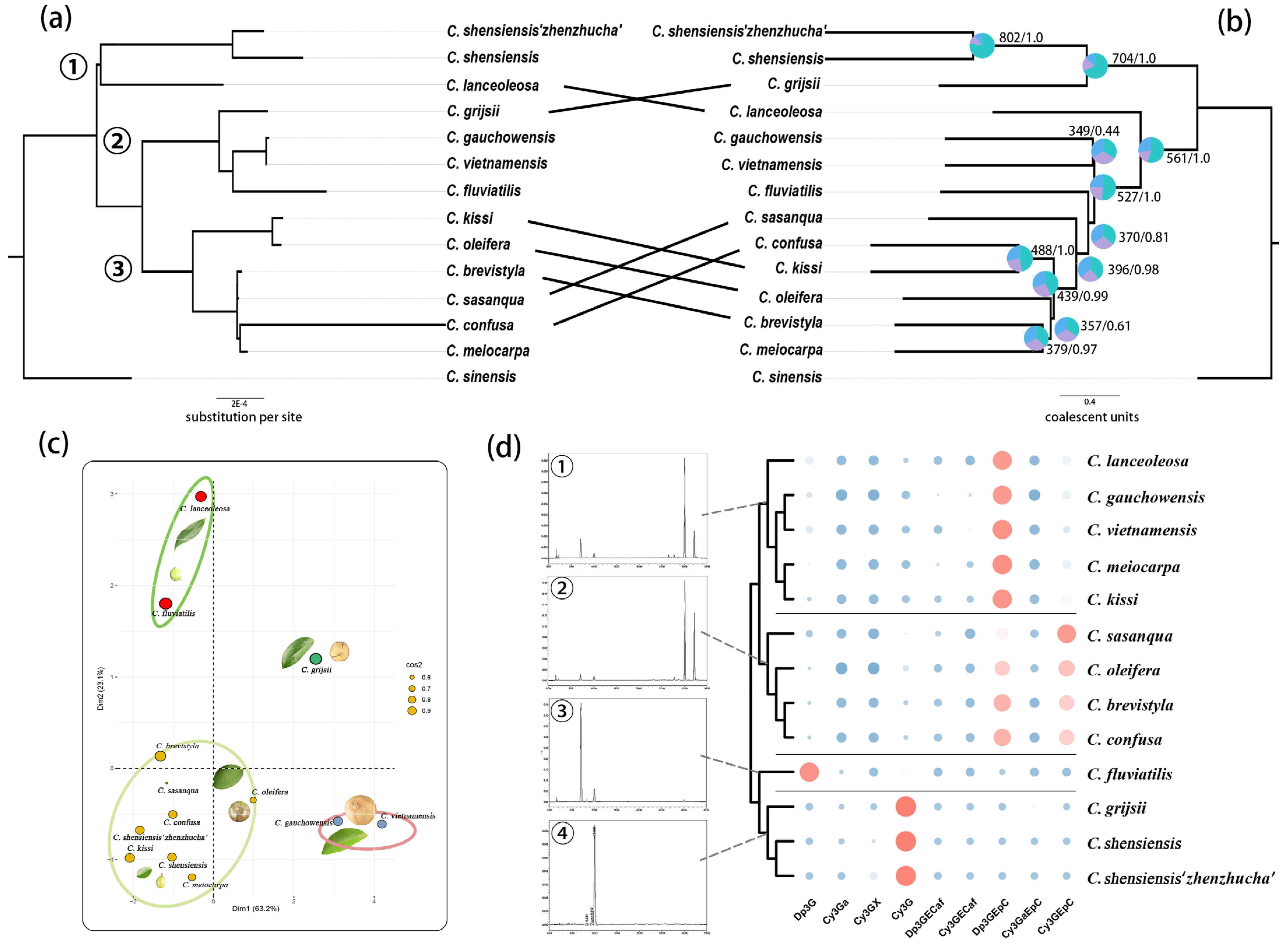 Horticulturae 10 01252 g001