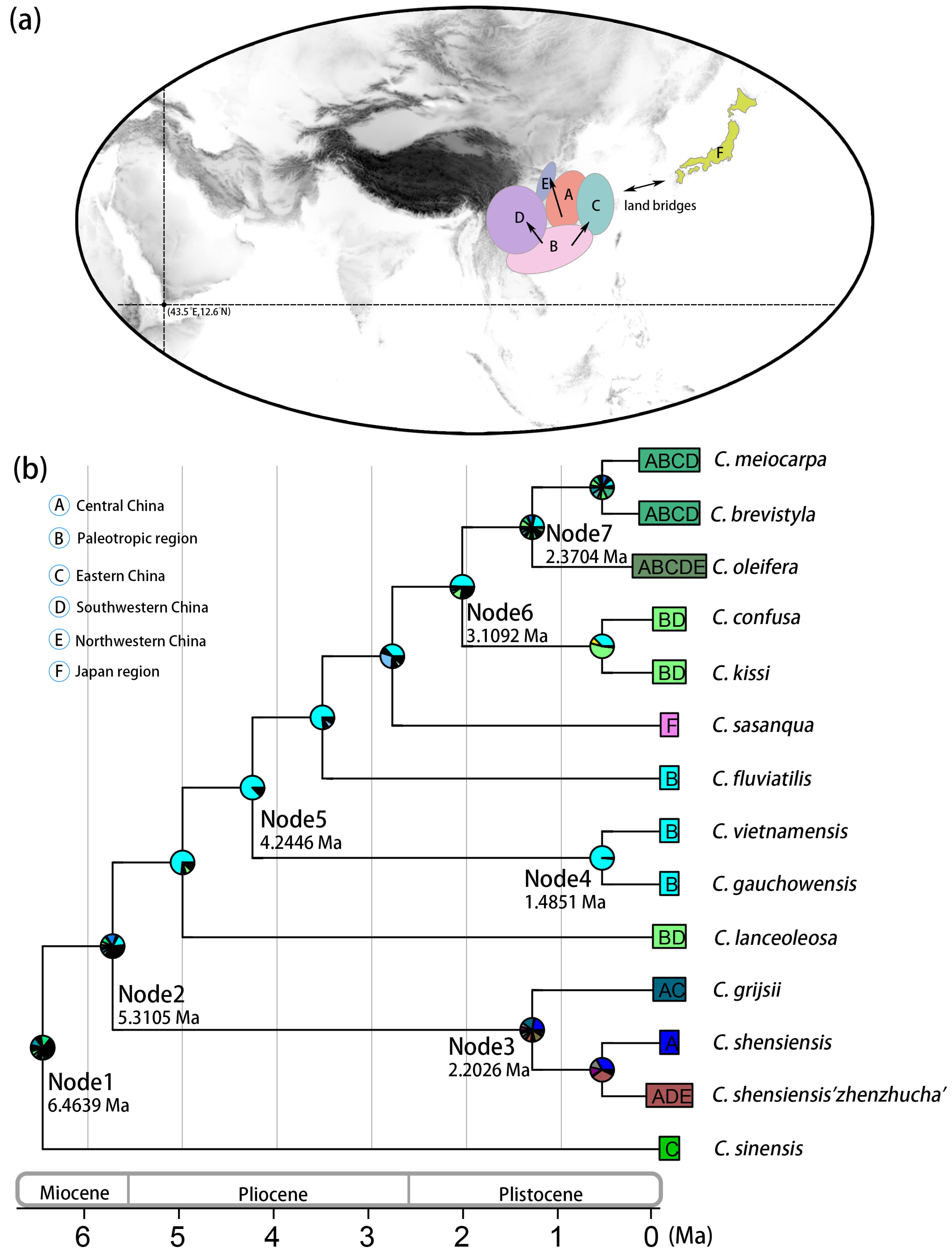 Horticulturae 10 01252 g004