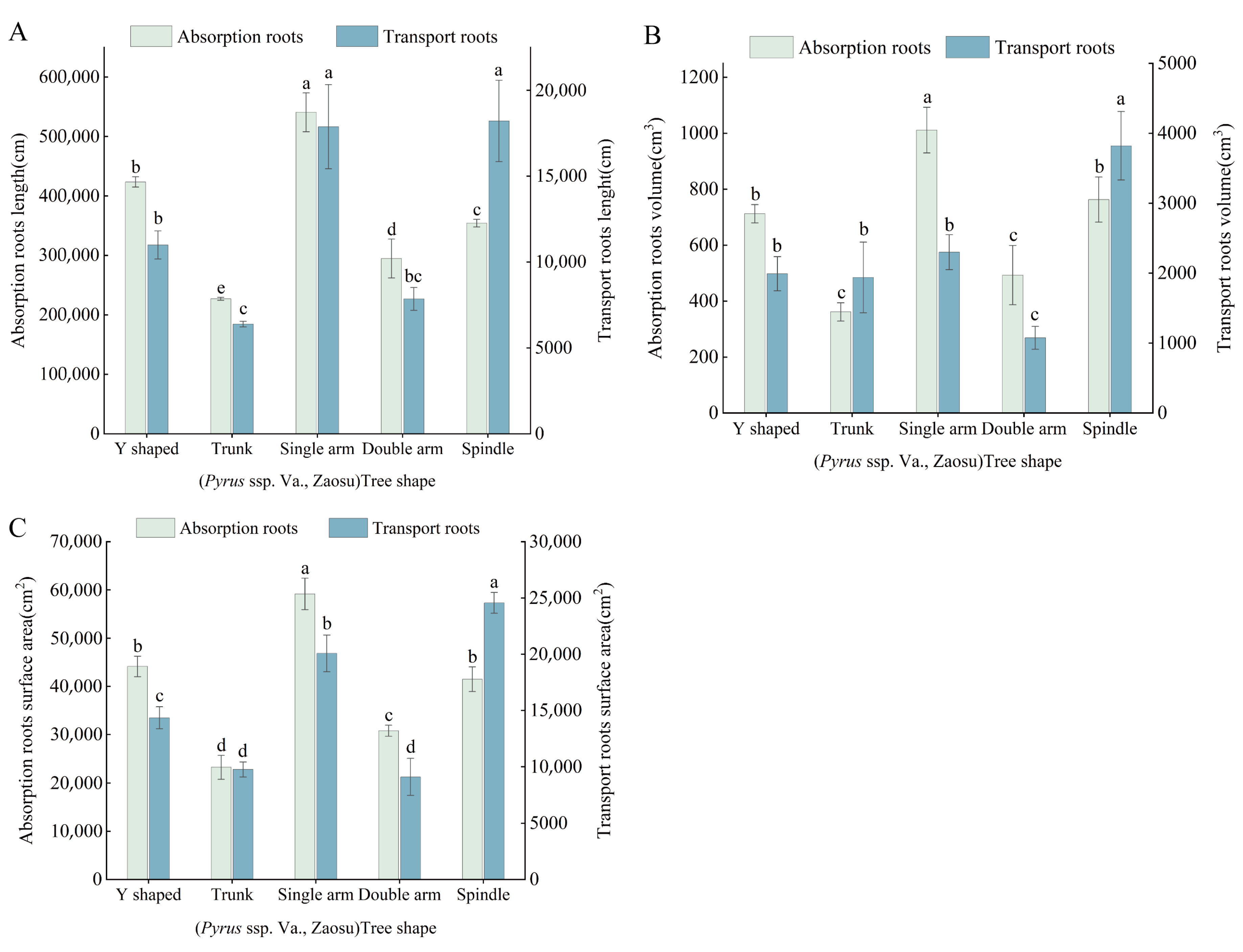 Horticulturae 10 01254 g005