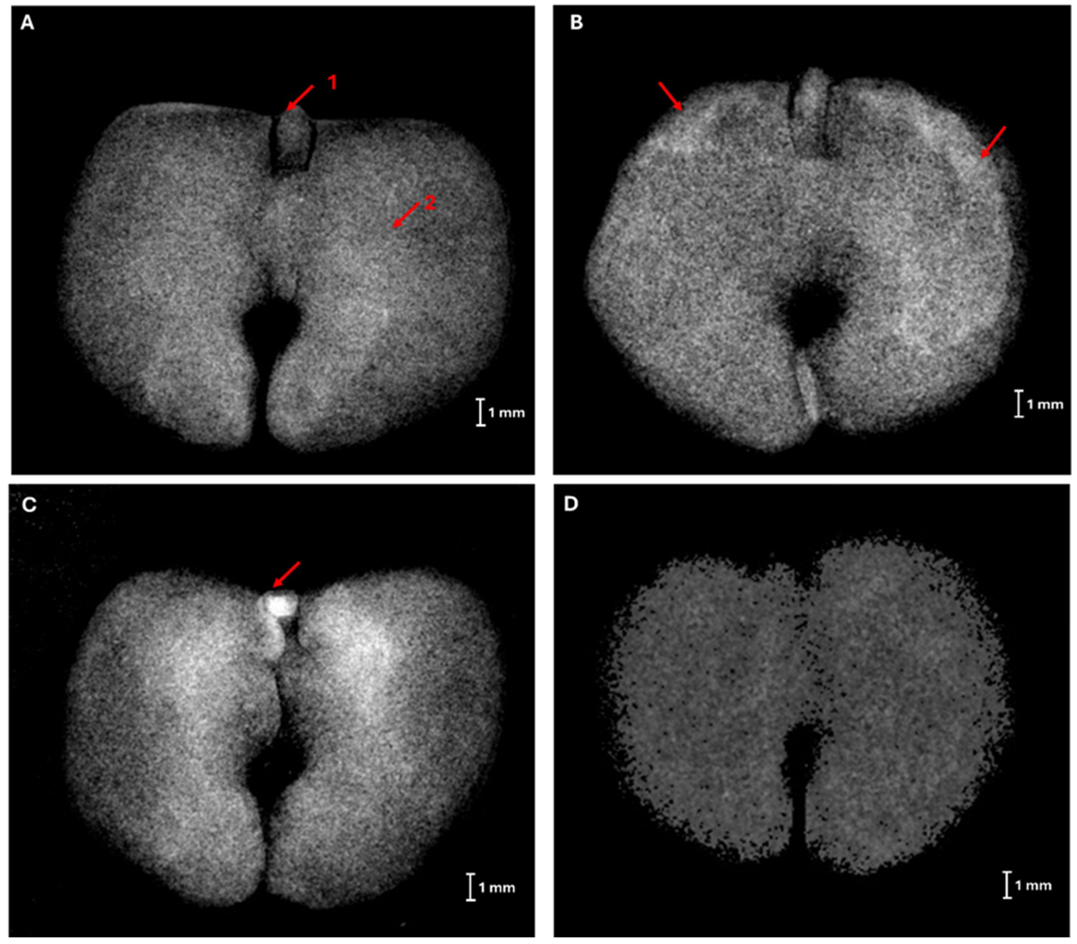 Horticulturae 10 01256 g002