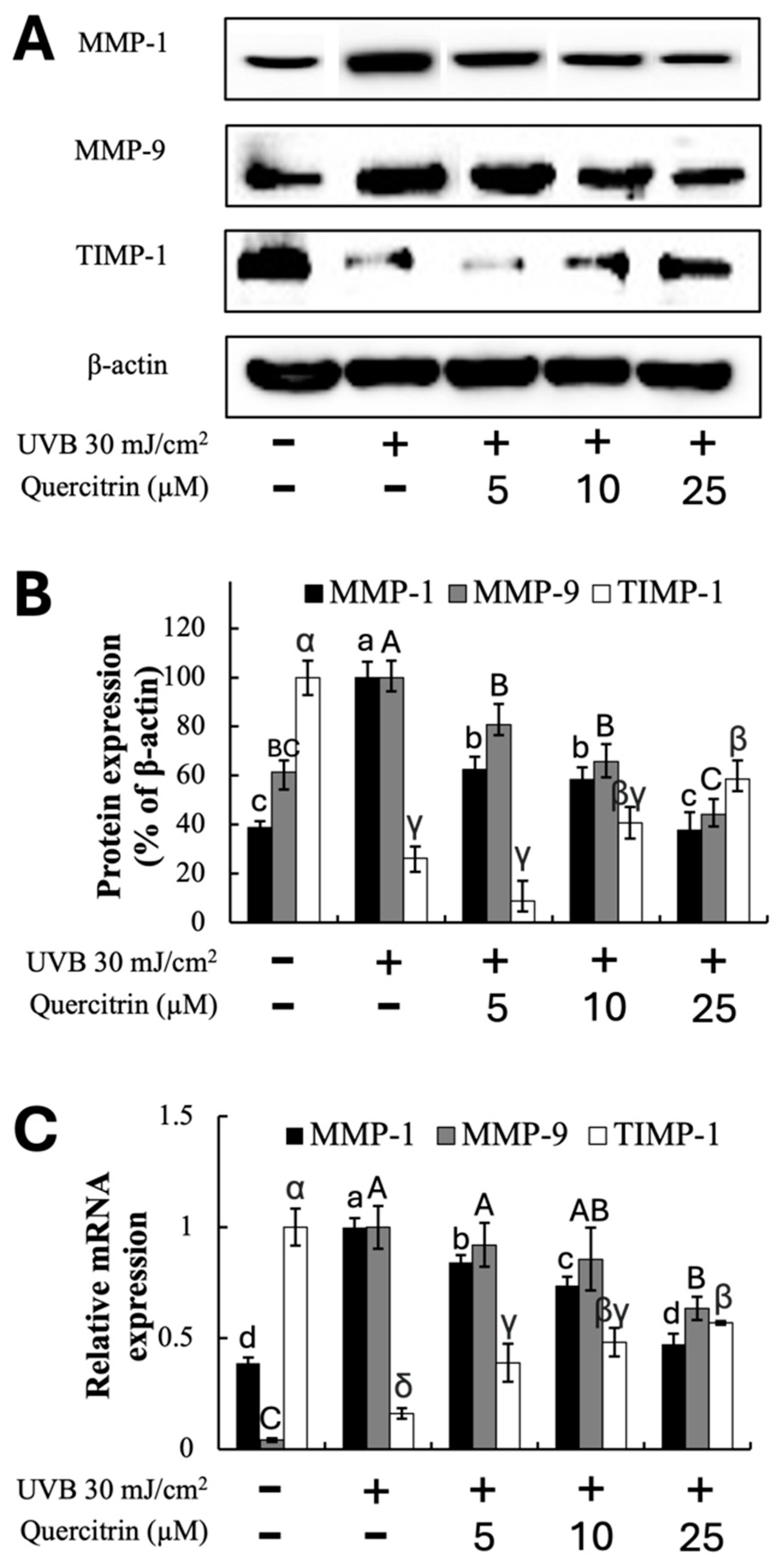 Horticulturae 10 01258 g003