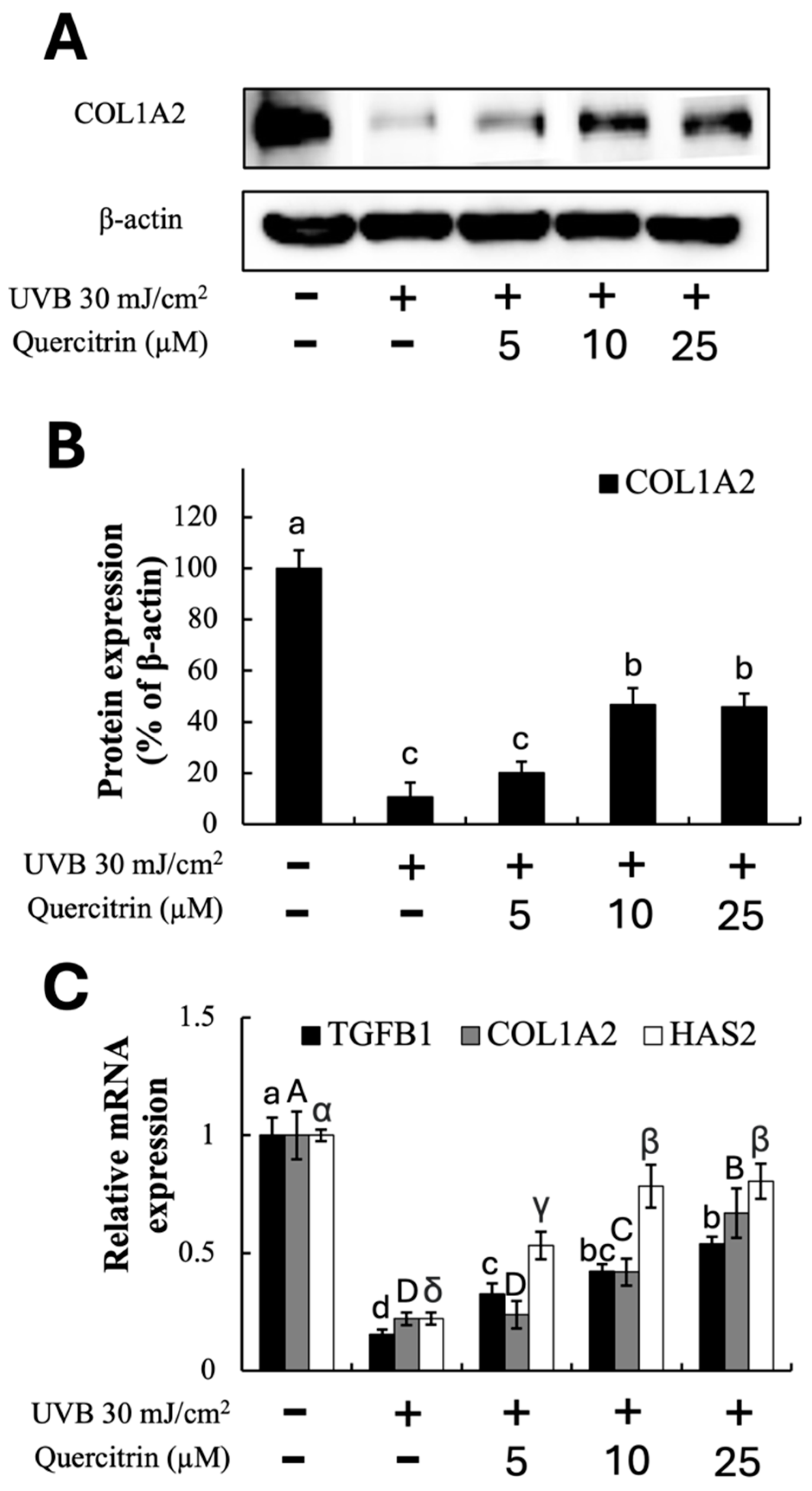 Horticulturae 10 01258 g004