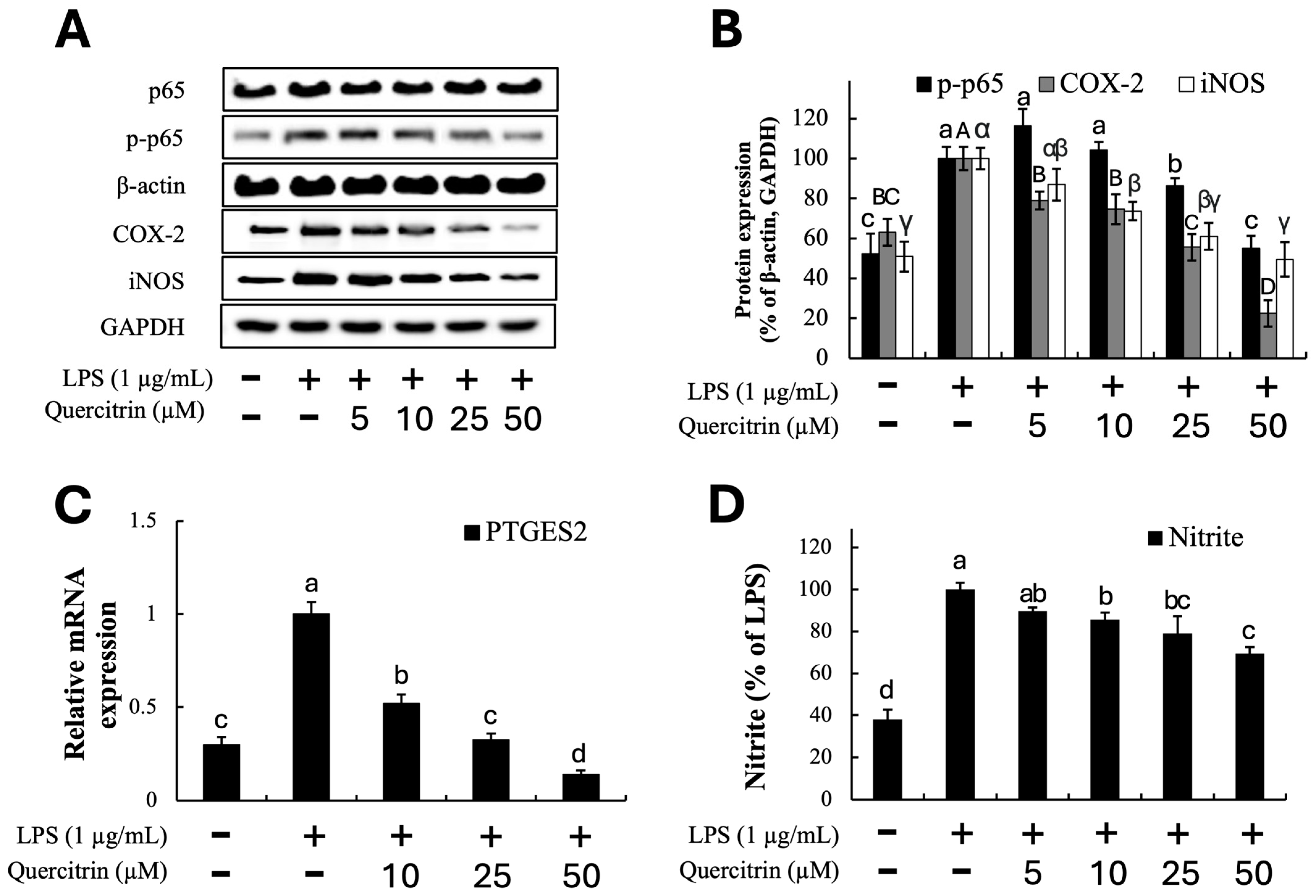 Horticulturae 10 01258 g005