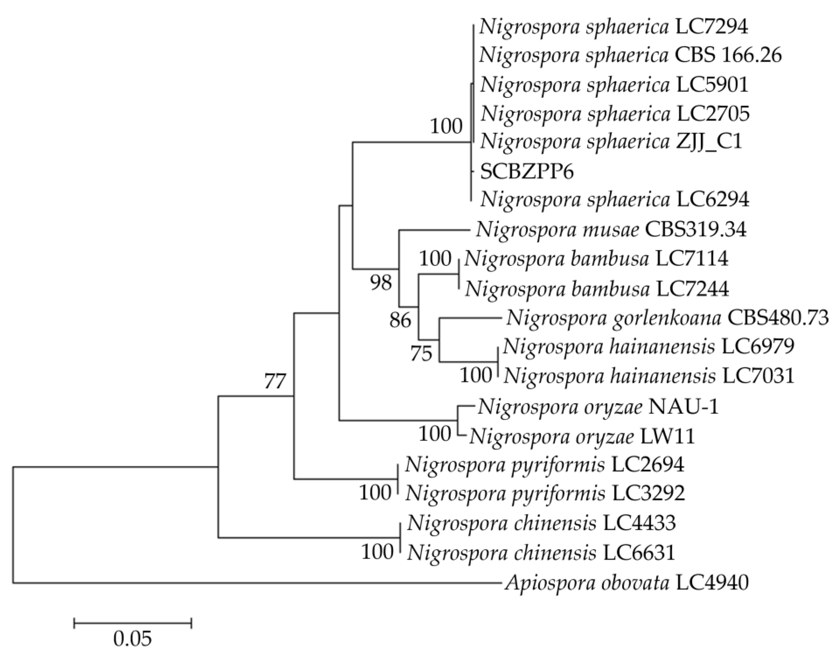 Horticulturae 10 01260 g002