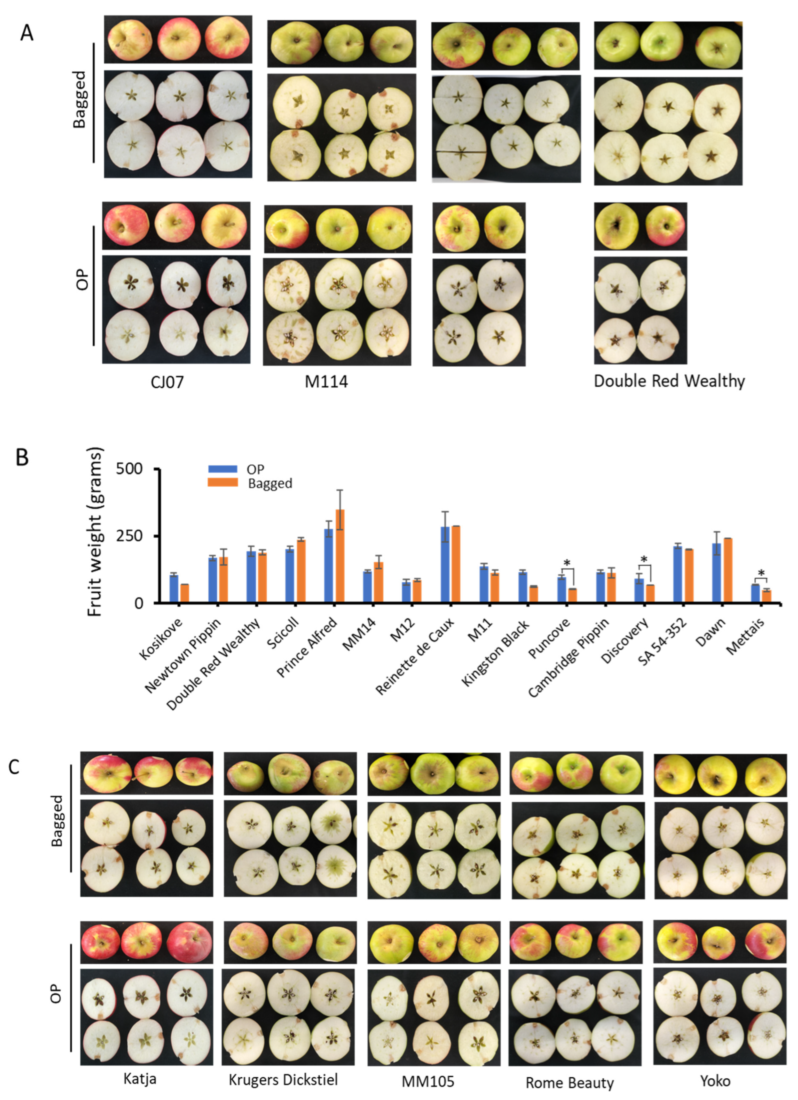 Horticulturae 10 01261 g002a