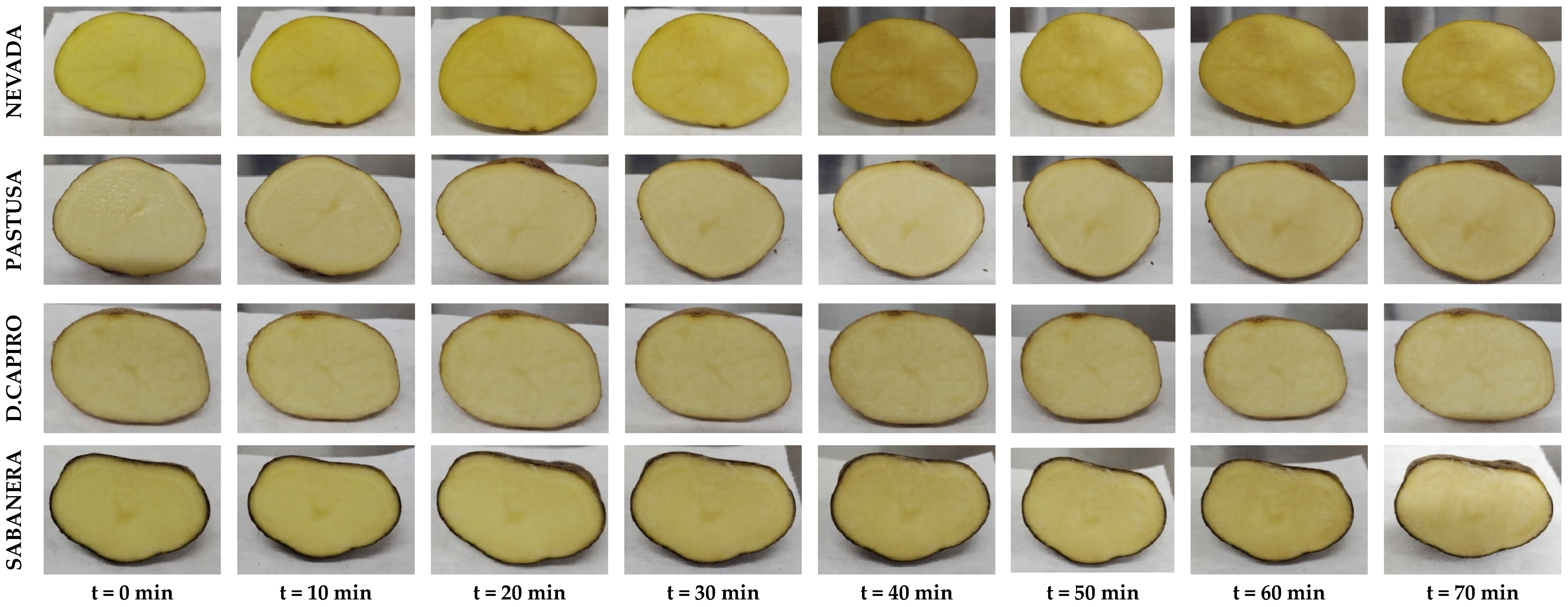 Horticulturae 10 01265 g003