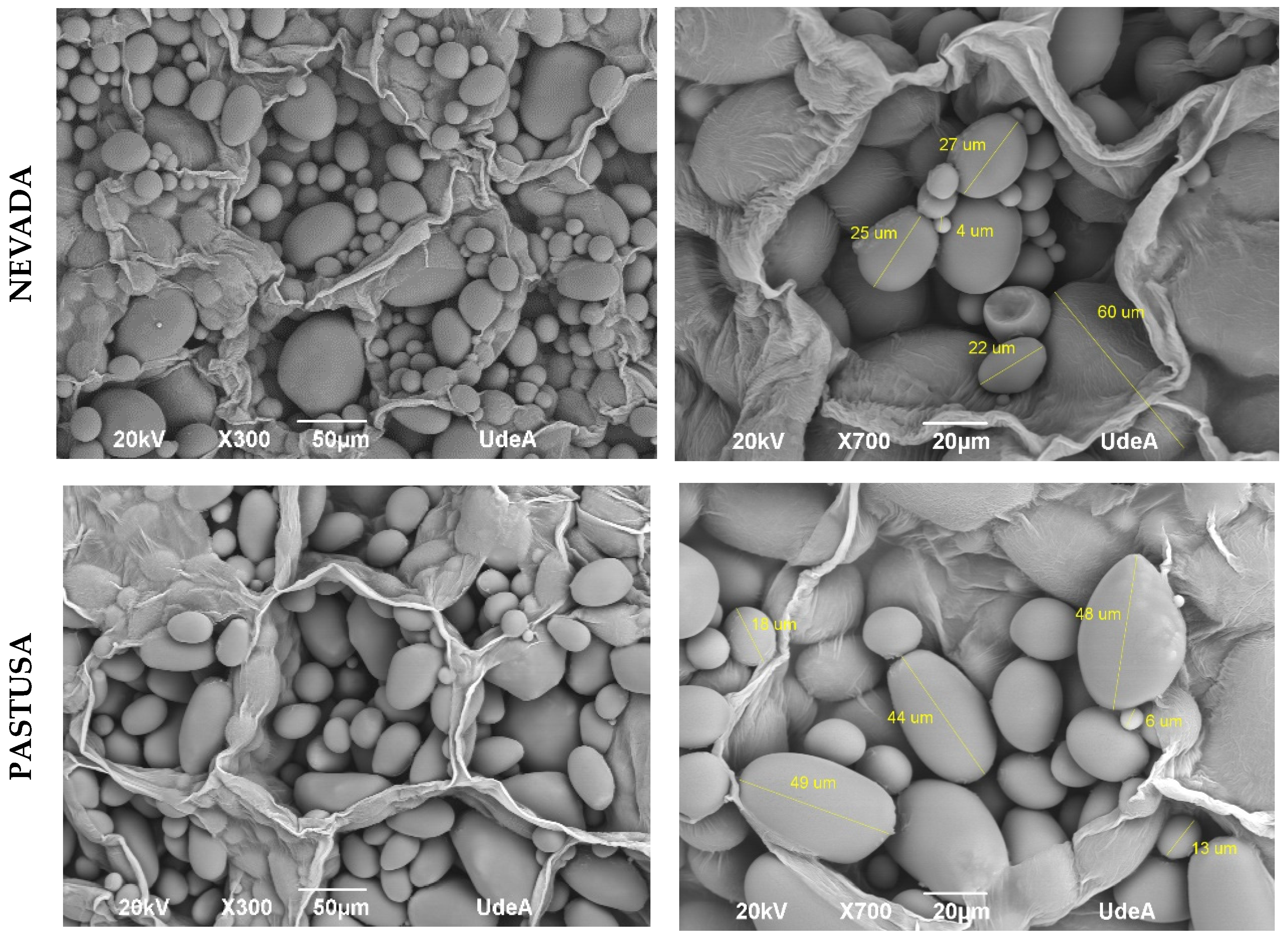 Horticulturae 10 01265 g006a
