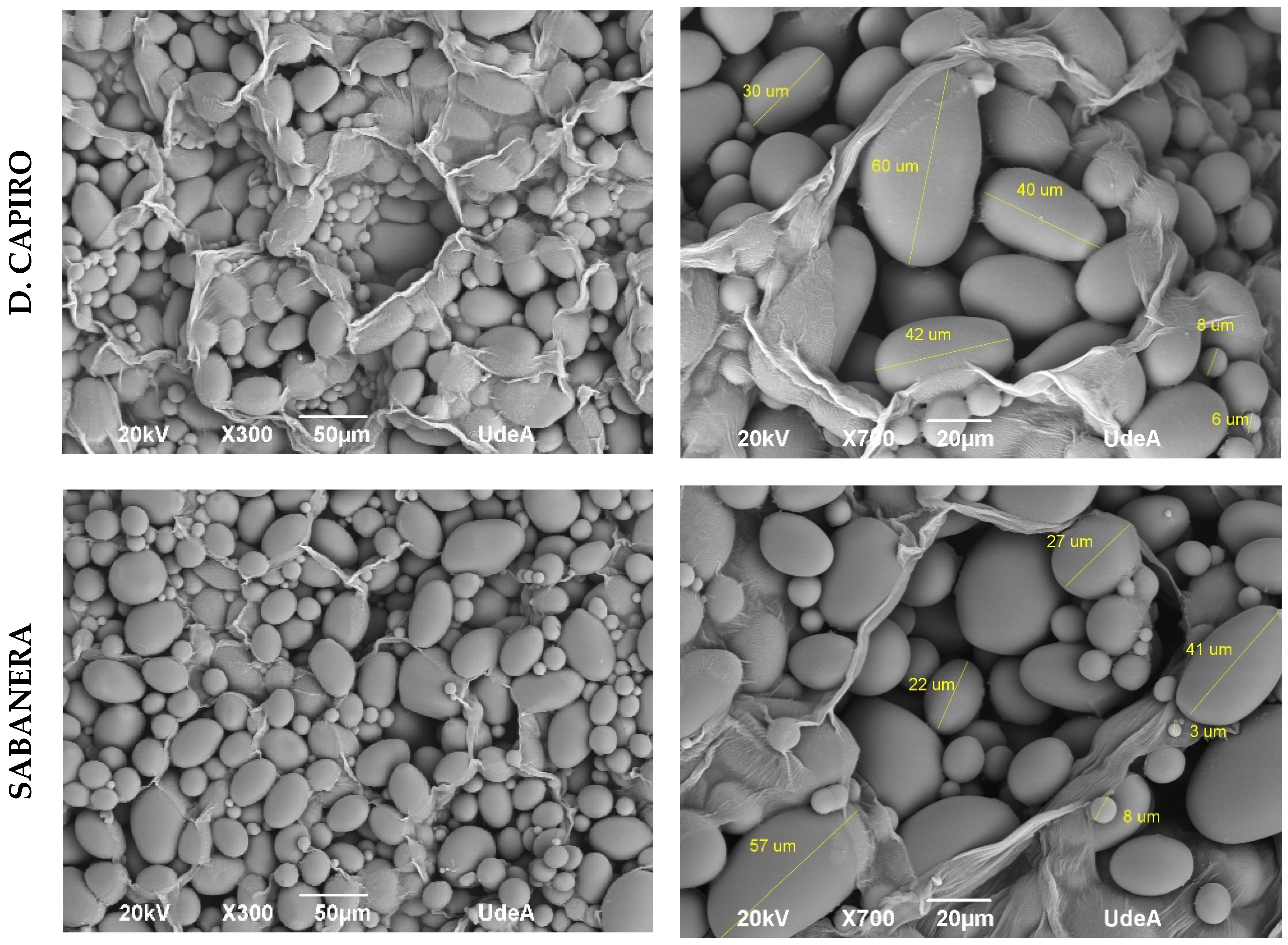 Horticulturae 10 01265 g006b