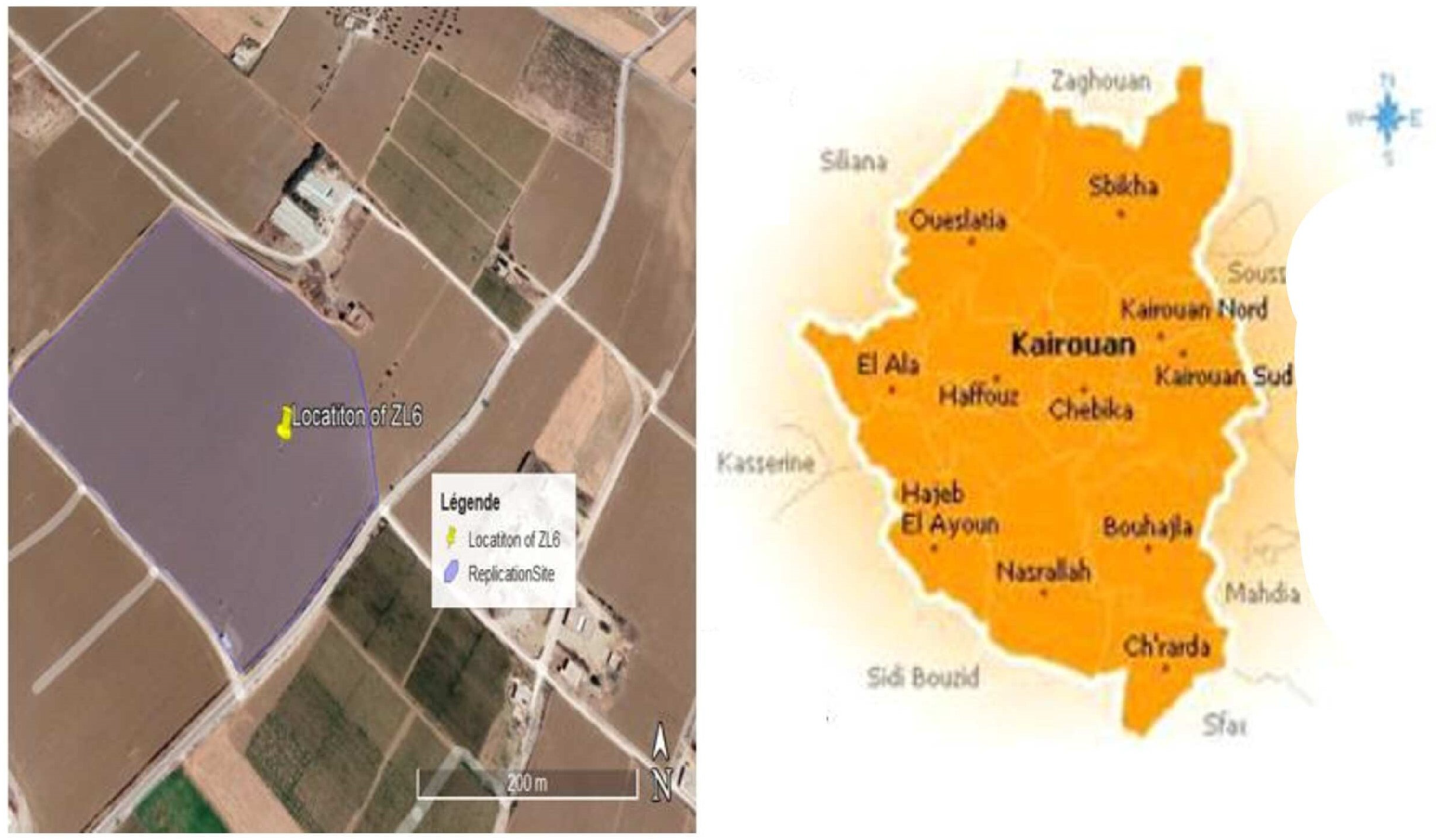 Horticulturae 10 01267 g001