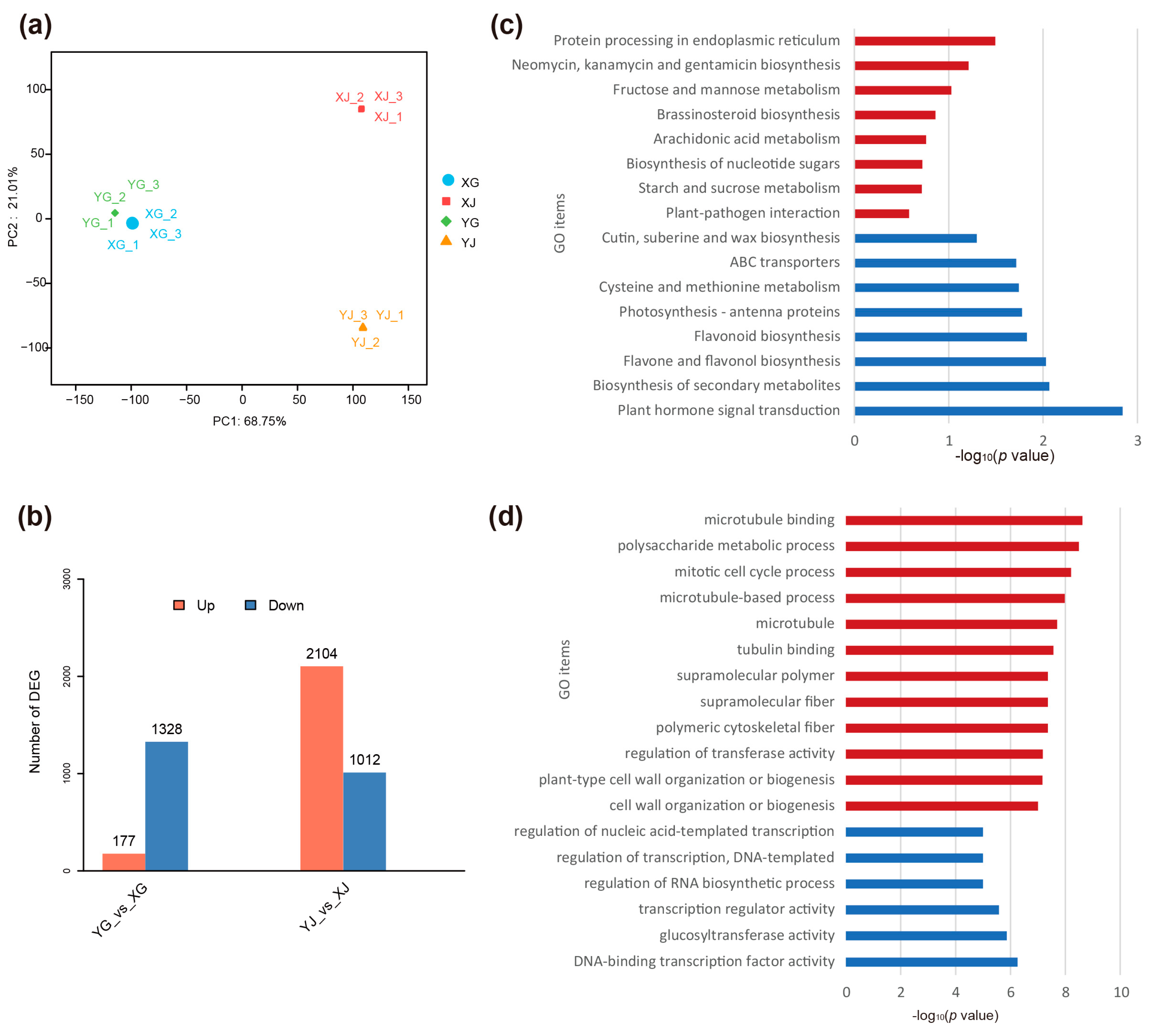 Horticulturae 10 01269 g003 Horticulturae 10 01269 g003