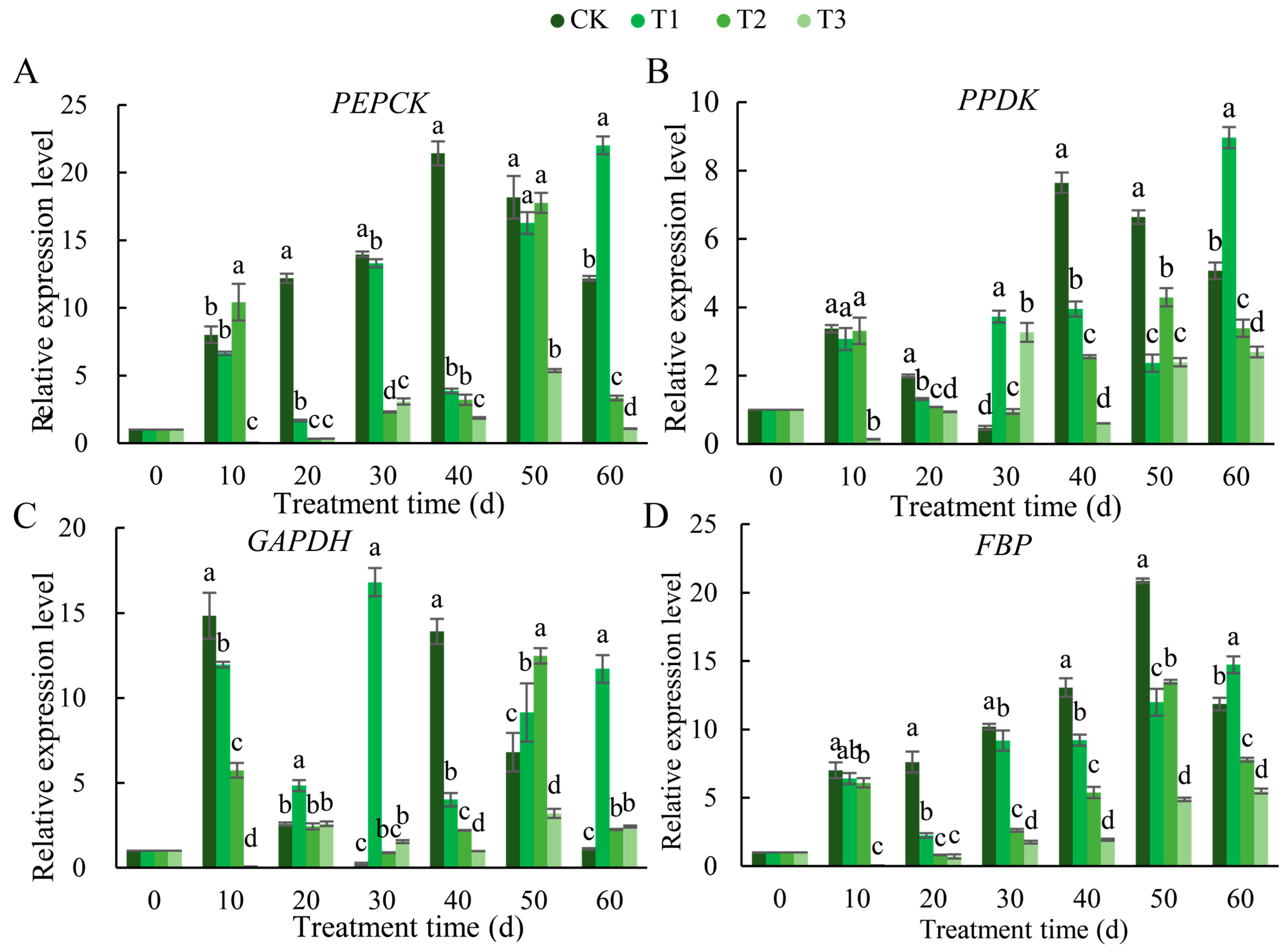 Horticulturae 10 01270 g006