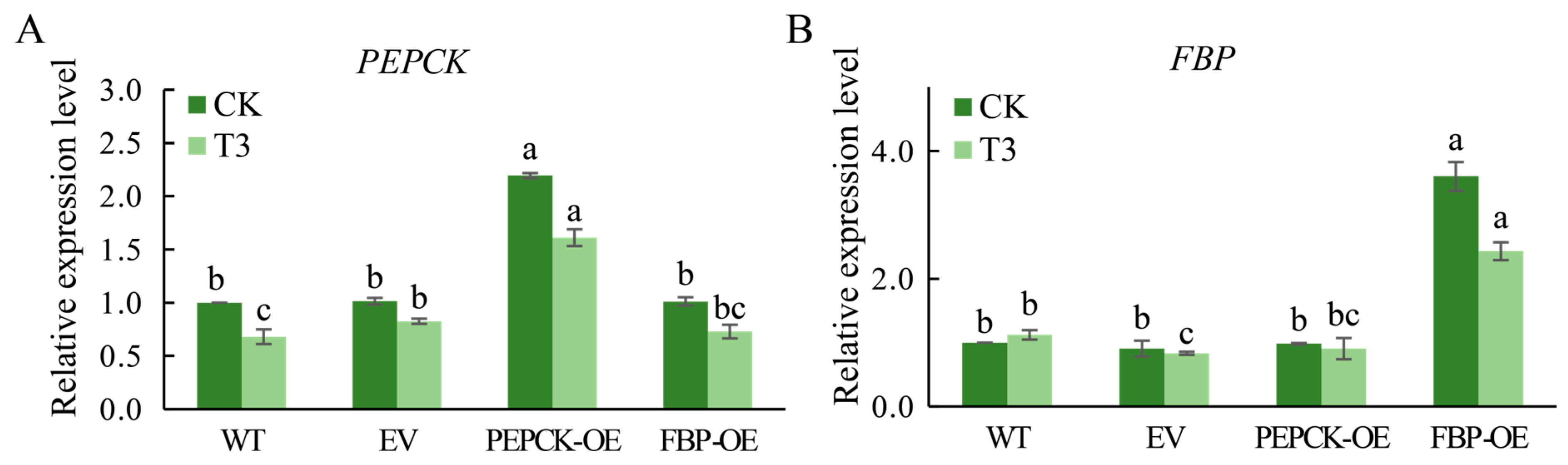 Horticulturae 10 01270 g008