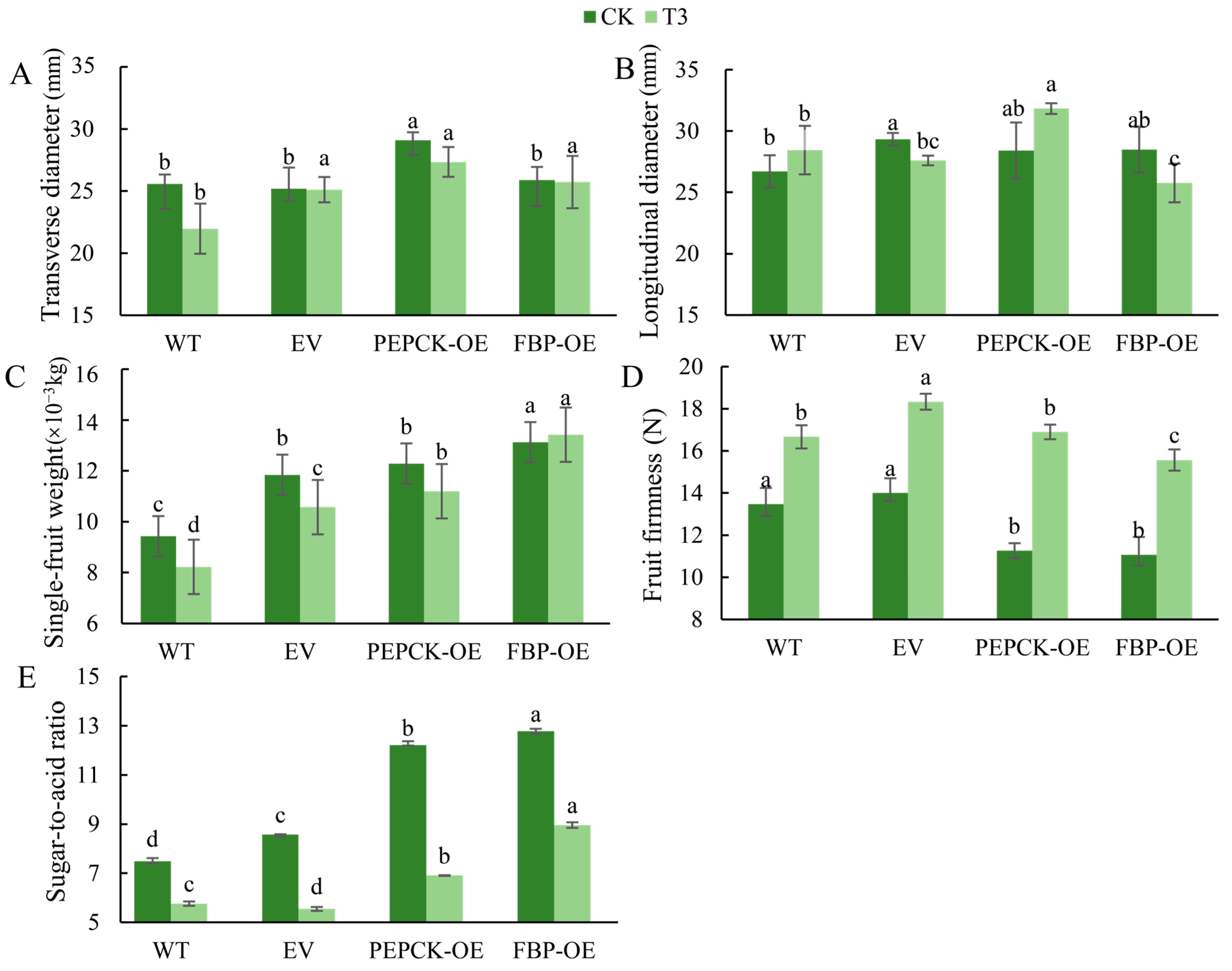 Horticulturae 10 01270 g009