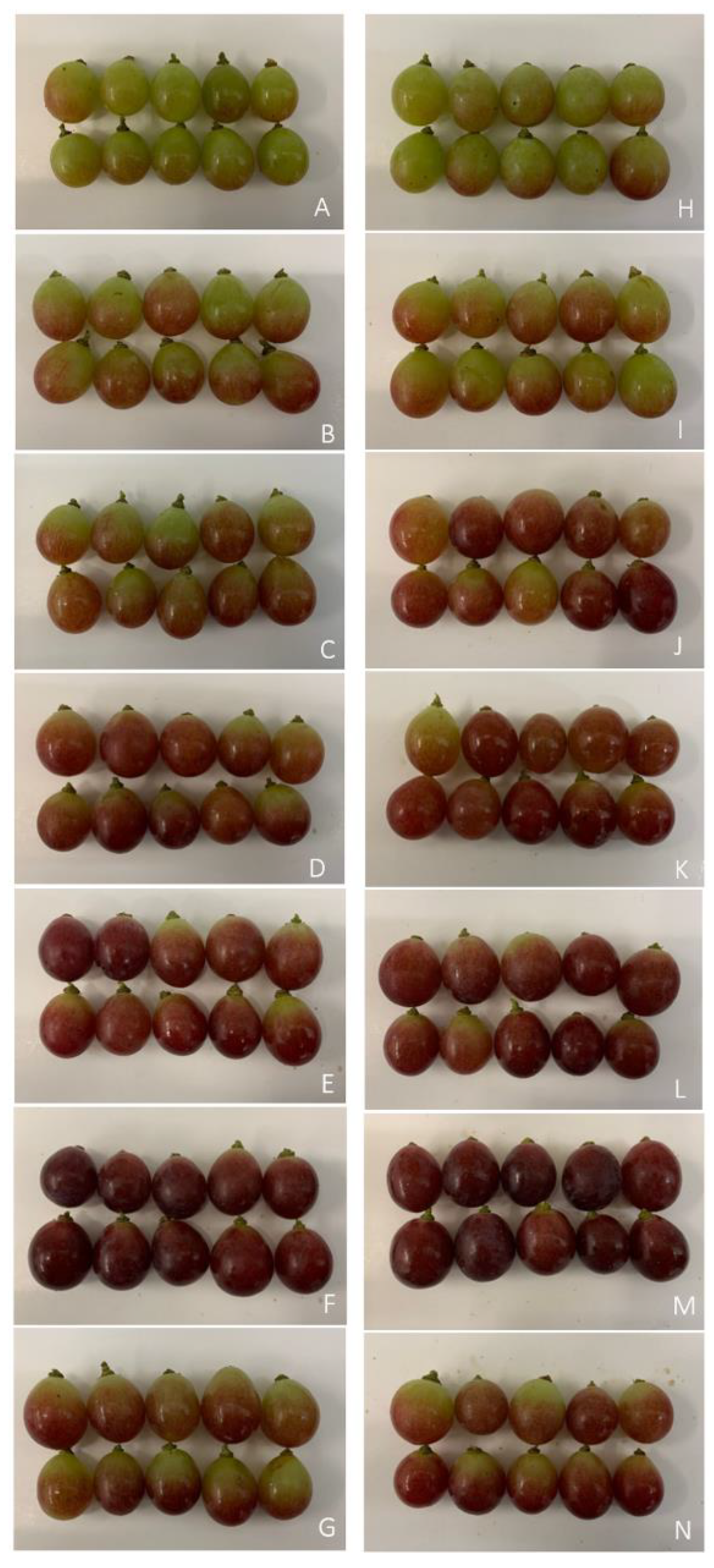 Horticulturae 10 01276 g007