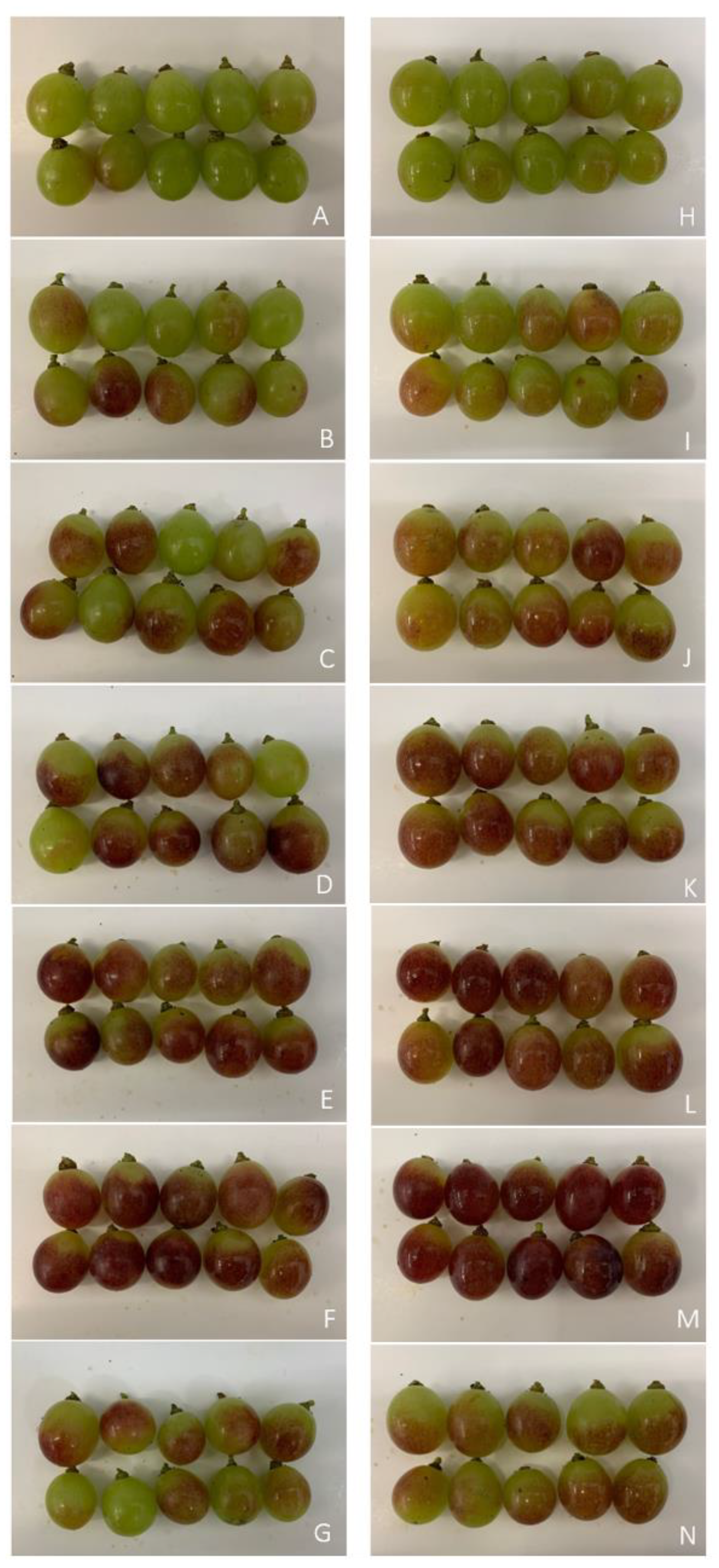 Horticulturae 10 01276 g009