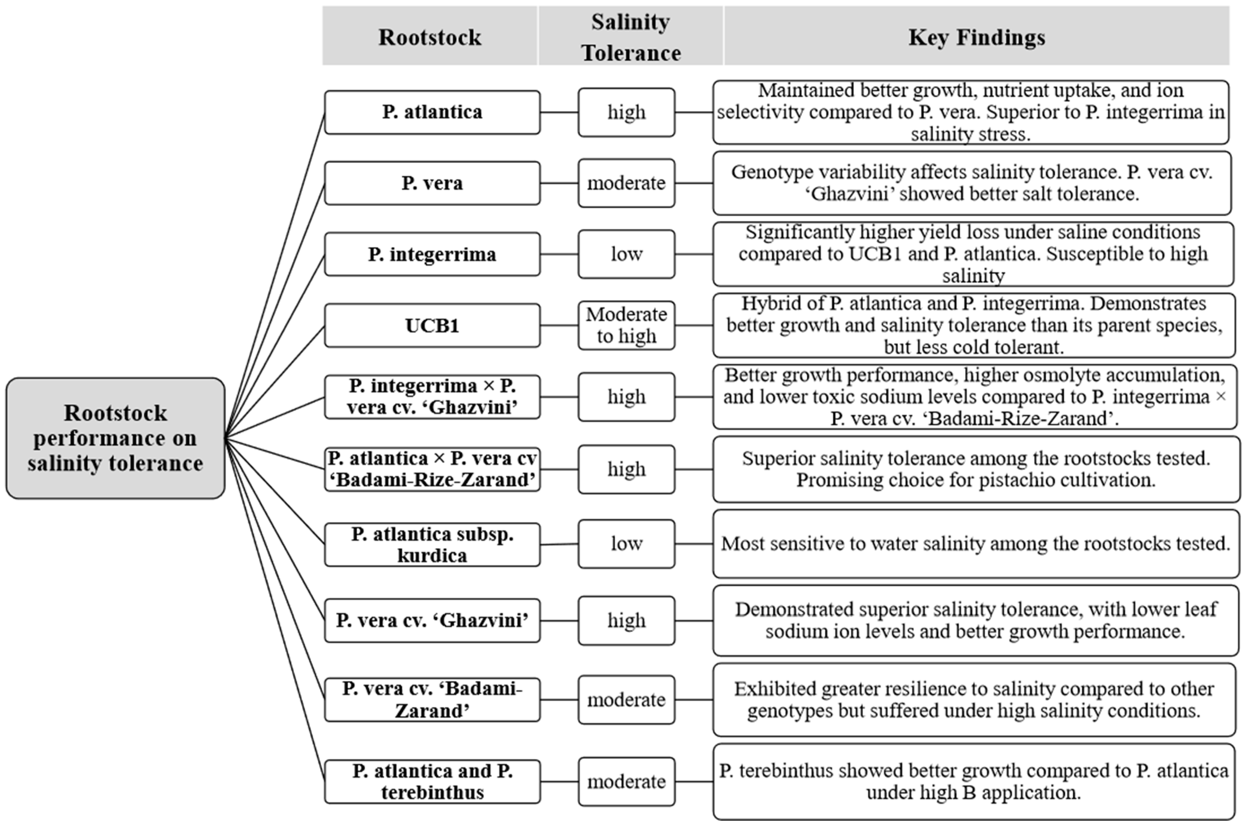 Horticulturae 10 01278 g002 Horticulturae 10 01278 g002