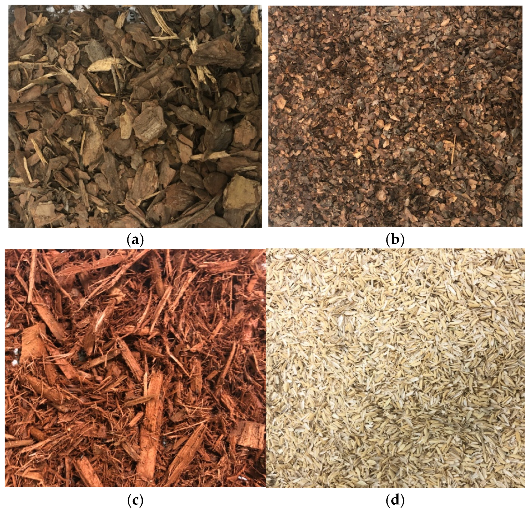 Horticulturae 10 01282 g001