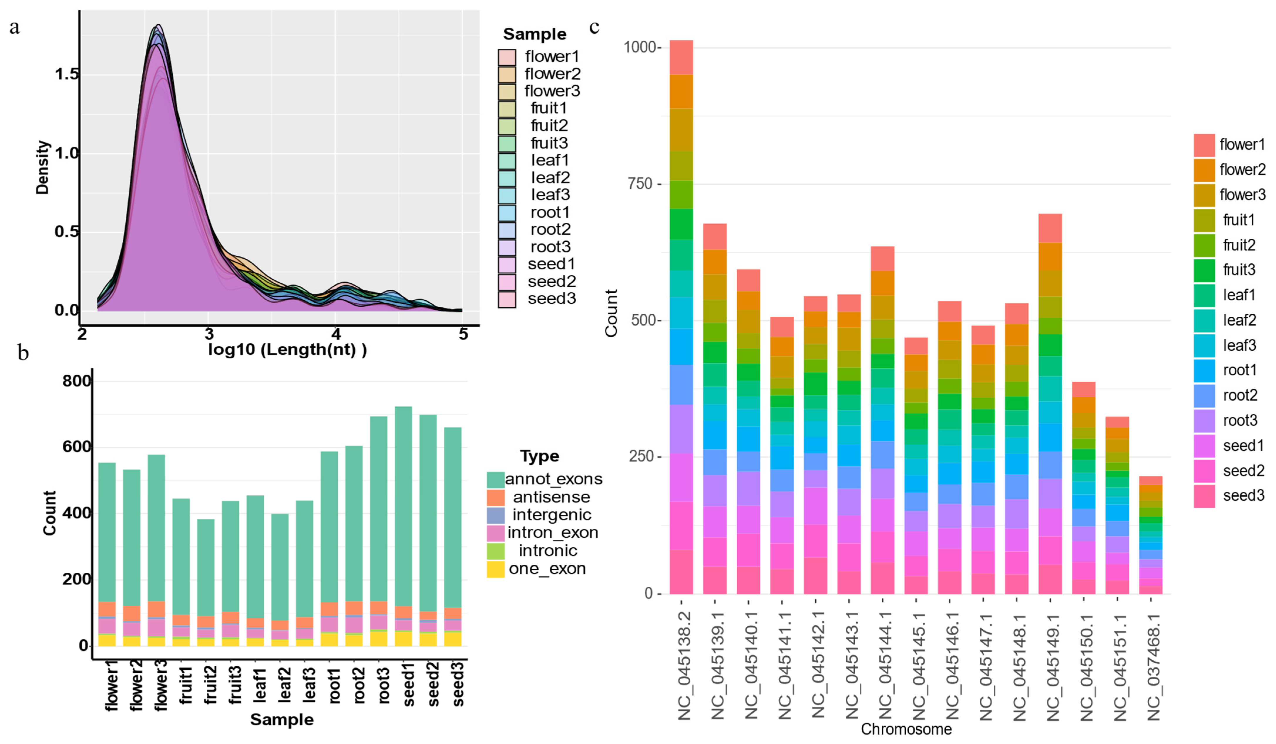 Horticulturae 10 01285 g005