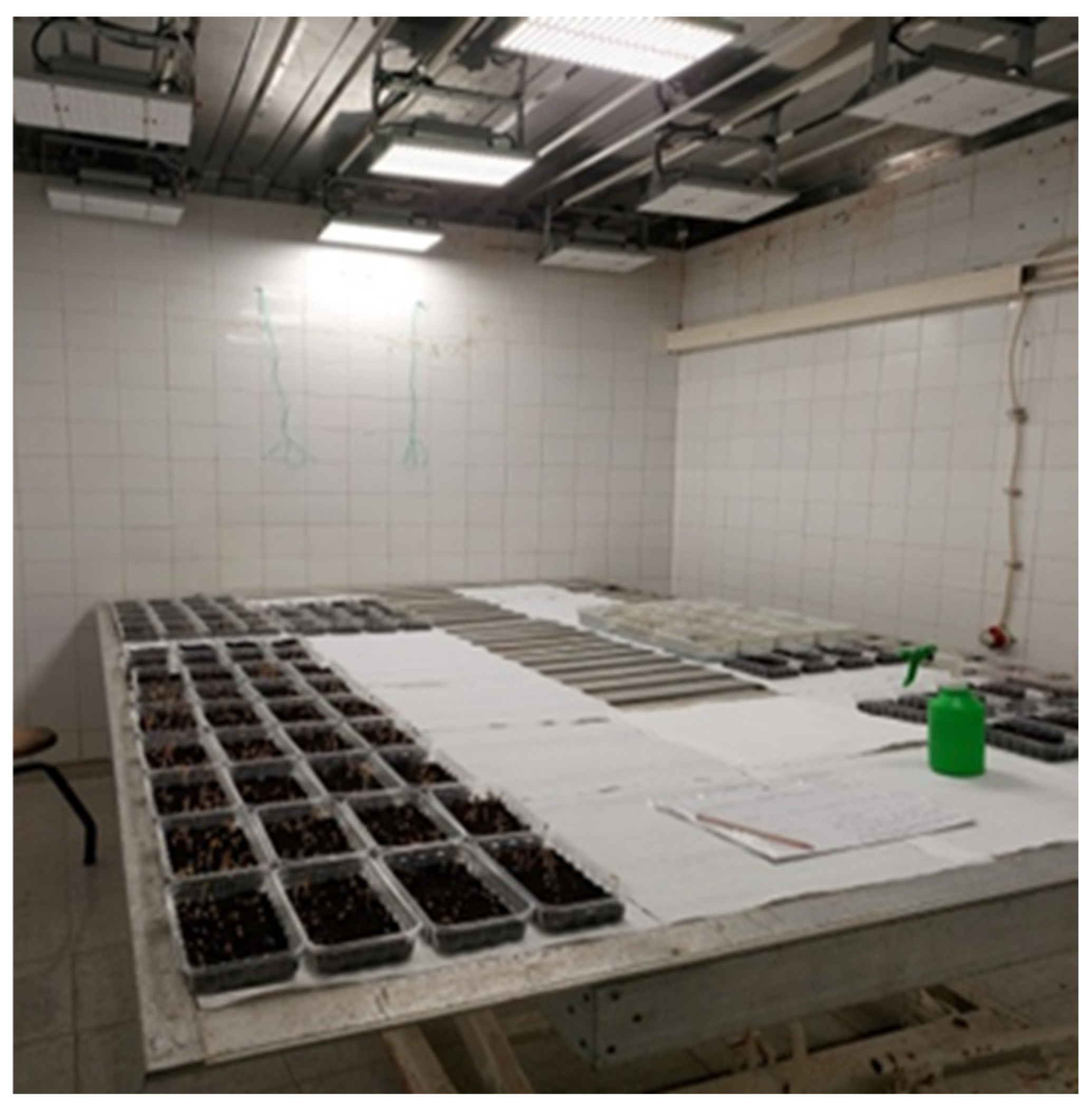 Horticulturae 10 01289 g001