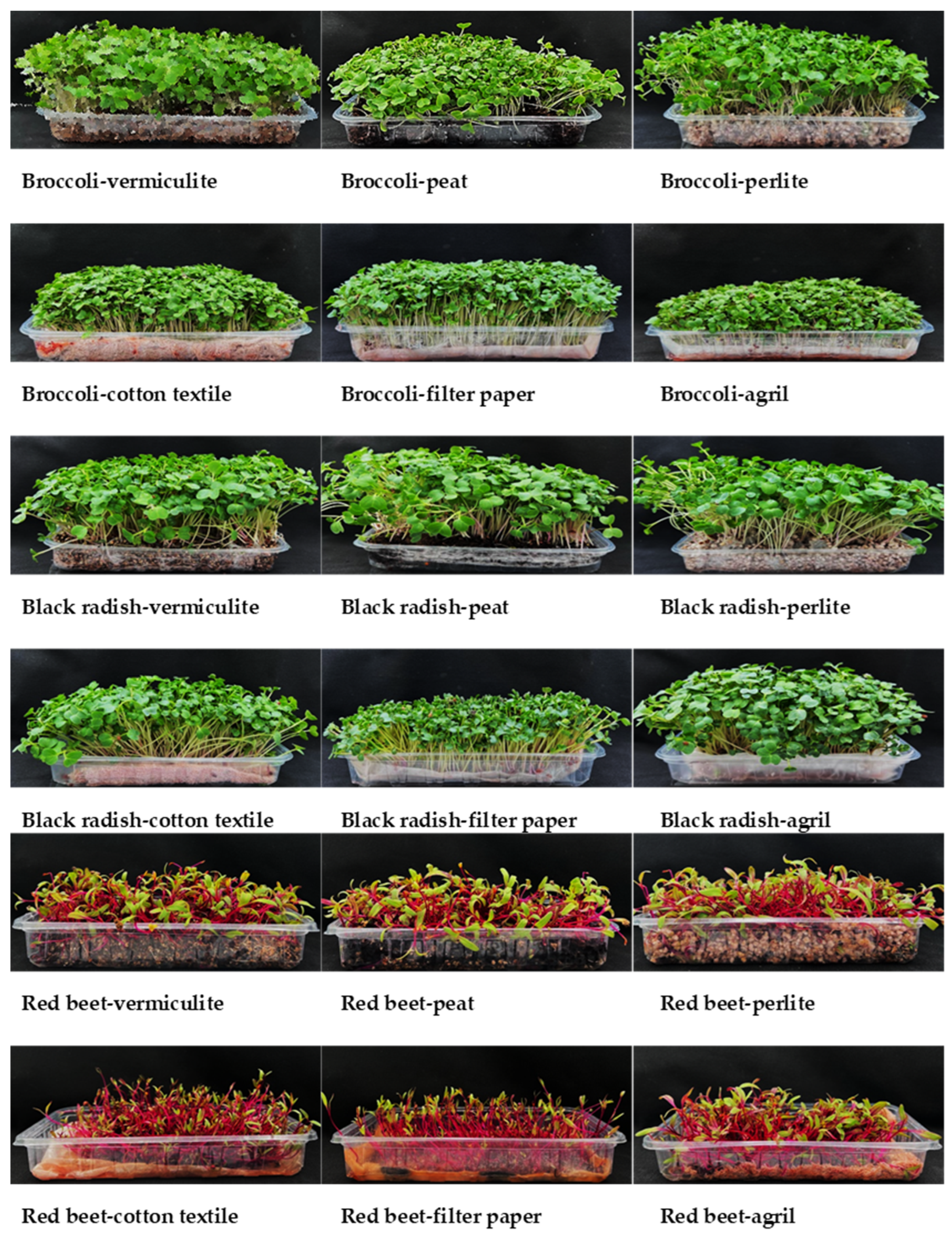 Horticulturae 10 01289 g004