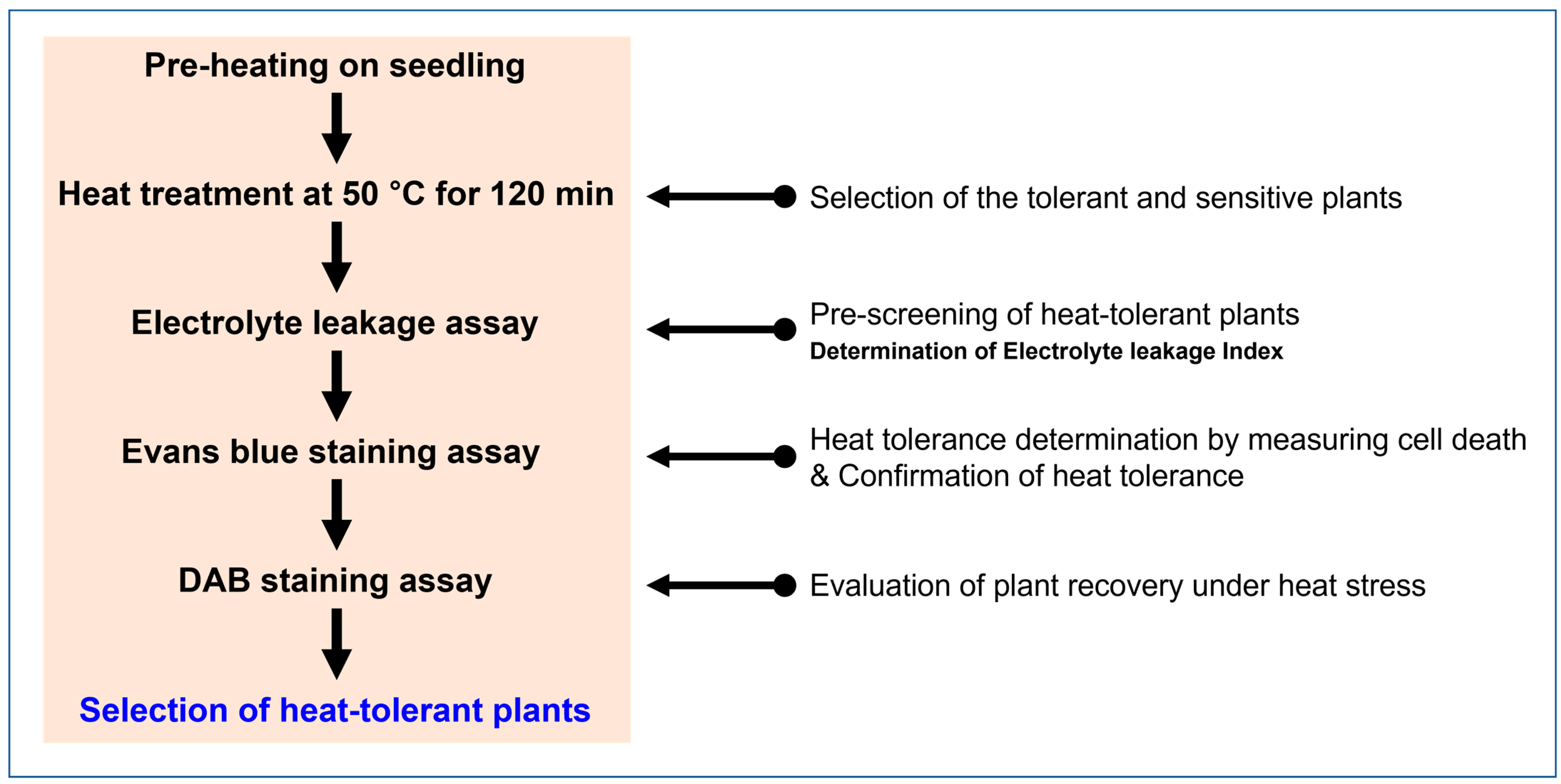 Horticulturae 10 01290 g001 Horticulturae 10 01290 g001